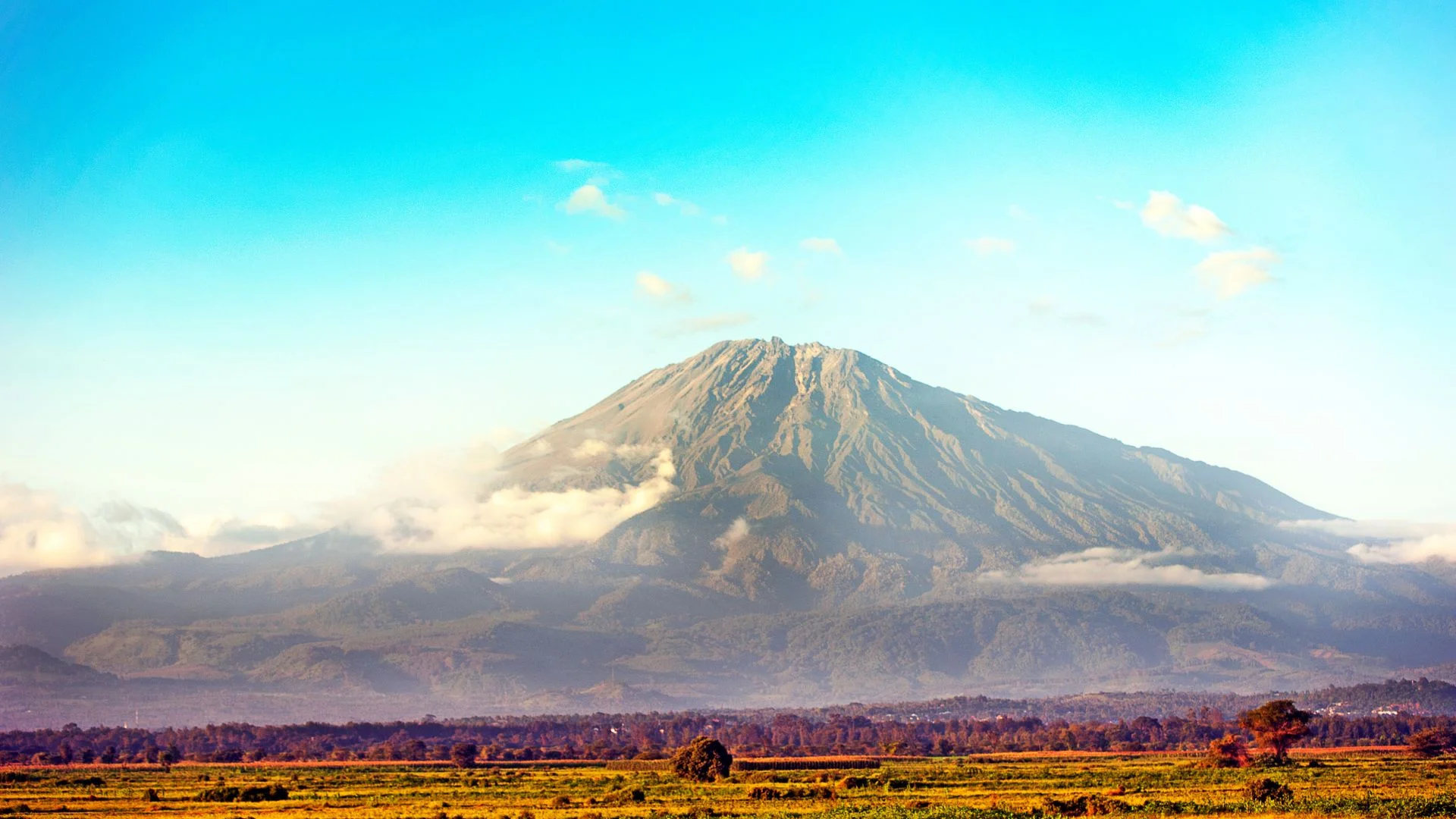 Vue matinale dégagée sur le sommet complet du Mount Meru depuis une plantation de café d'Arusha pendant la saison sèche