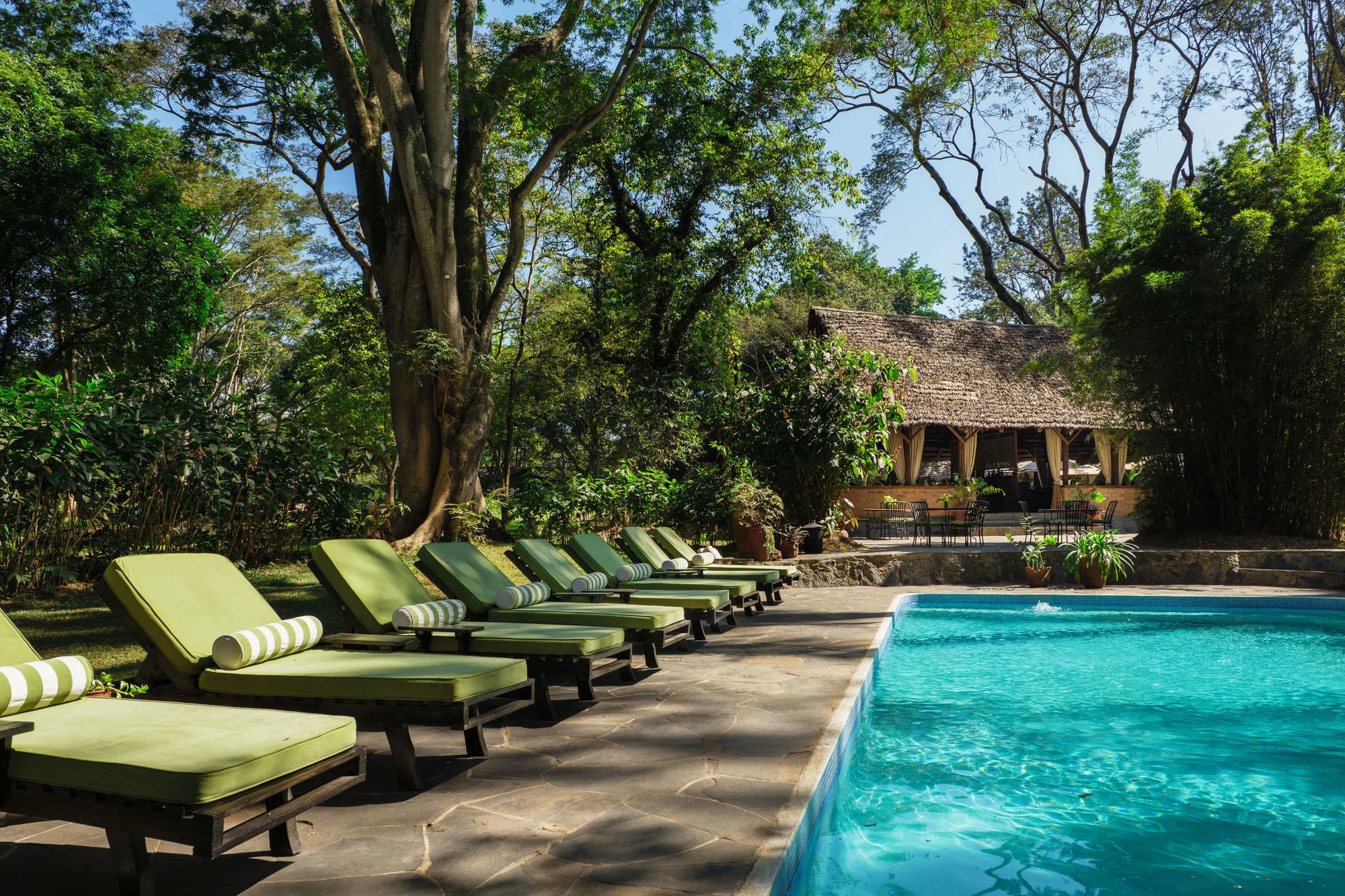 Lodge élégant niché au milieu de plantations de café avec piscine et vue sur la montagne