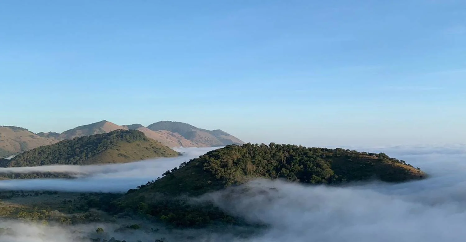 Der wolkenwaldbedeckte Gipfelkamm der Chyulu Hills, gesehen von Campi ya Kanzi aus, mit sich am Morgen auflösendem Nebel auf den oberen Hängen