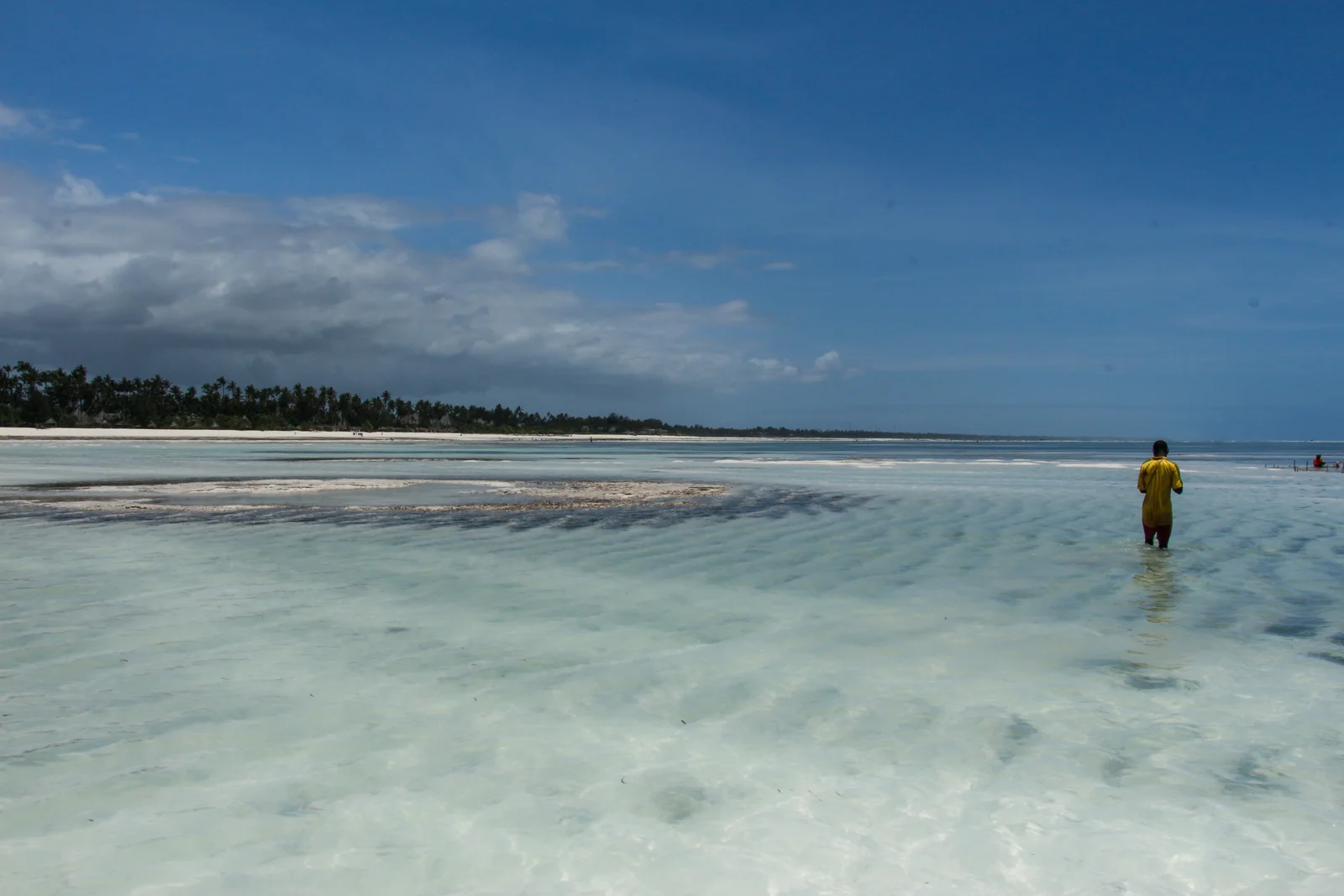 Eau turquoise et plage de sable blanc à l'île de Bongoyo, près de Dar es Salaam