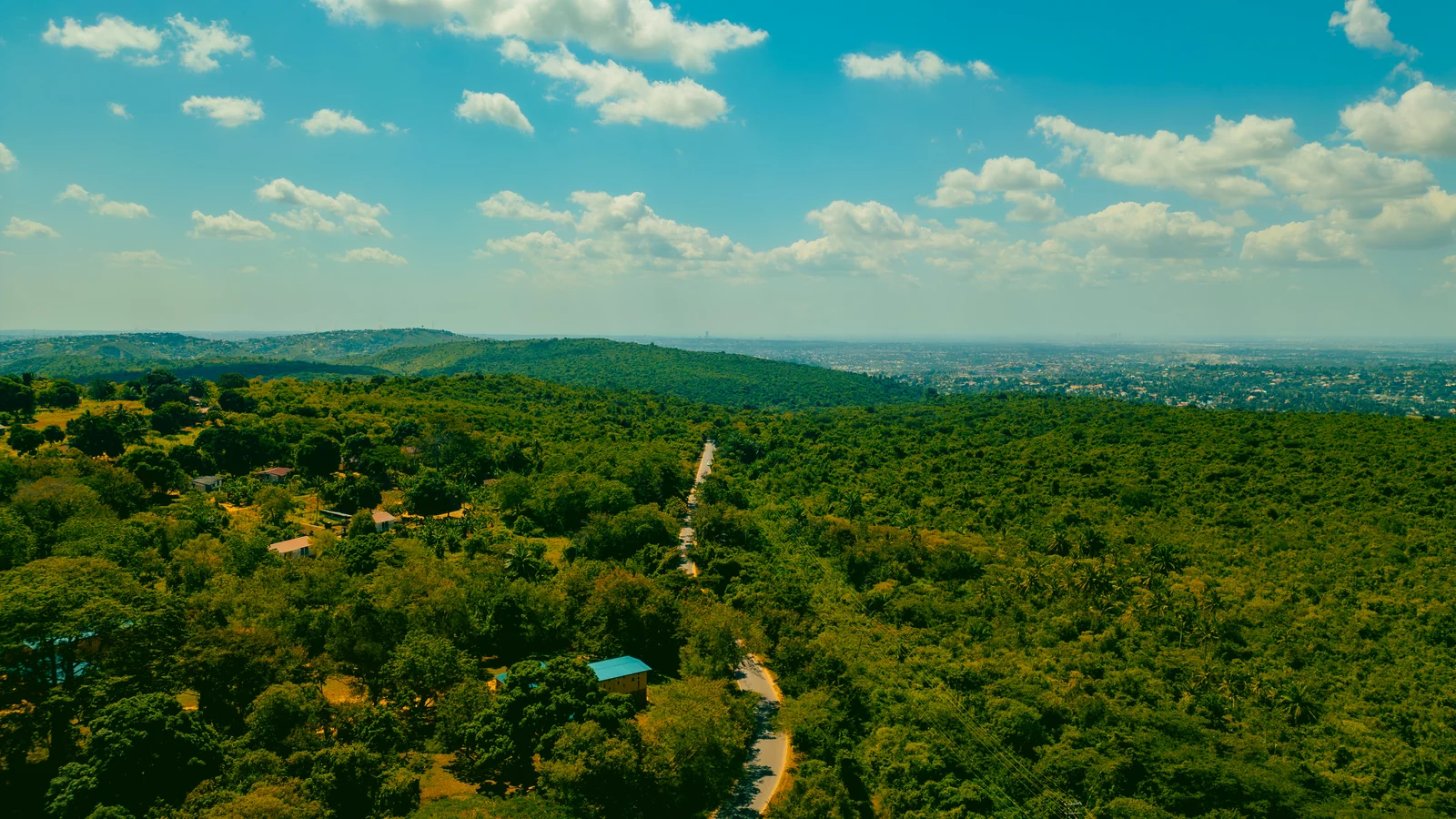 Sentier de randonnée sous la canopée de la forêt côtière à la réserve forestière de Pugu Hills
