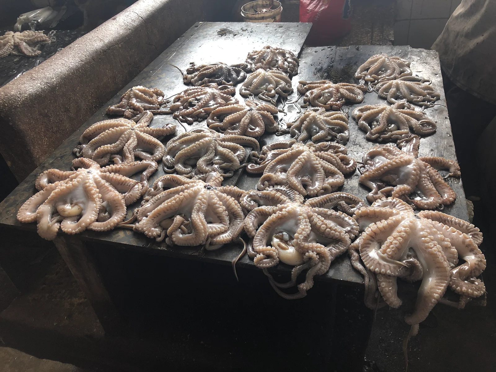 Poulpe grillé préparé par un vendeur de rue sur le front de mer de Dar es Salaam