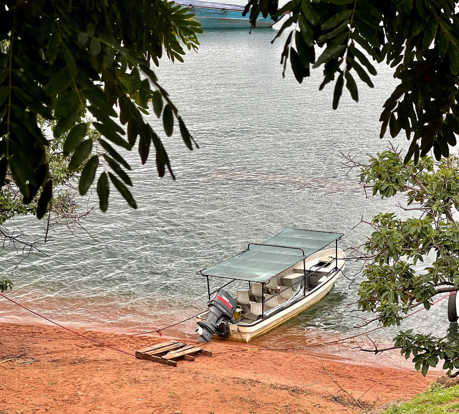 Bateau à moteur approchant du parc national de Gombe Stream le long de la rive boisée du lac Tanganyika