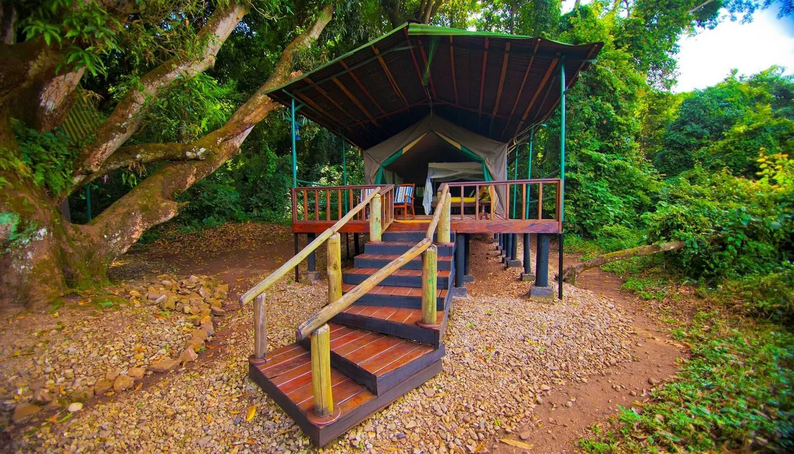 Gombe Forest Lodge, sur les rives du lac Tanganyika