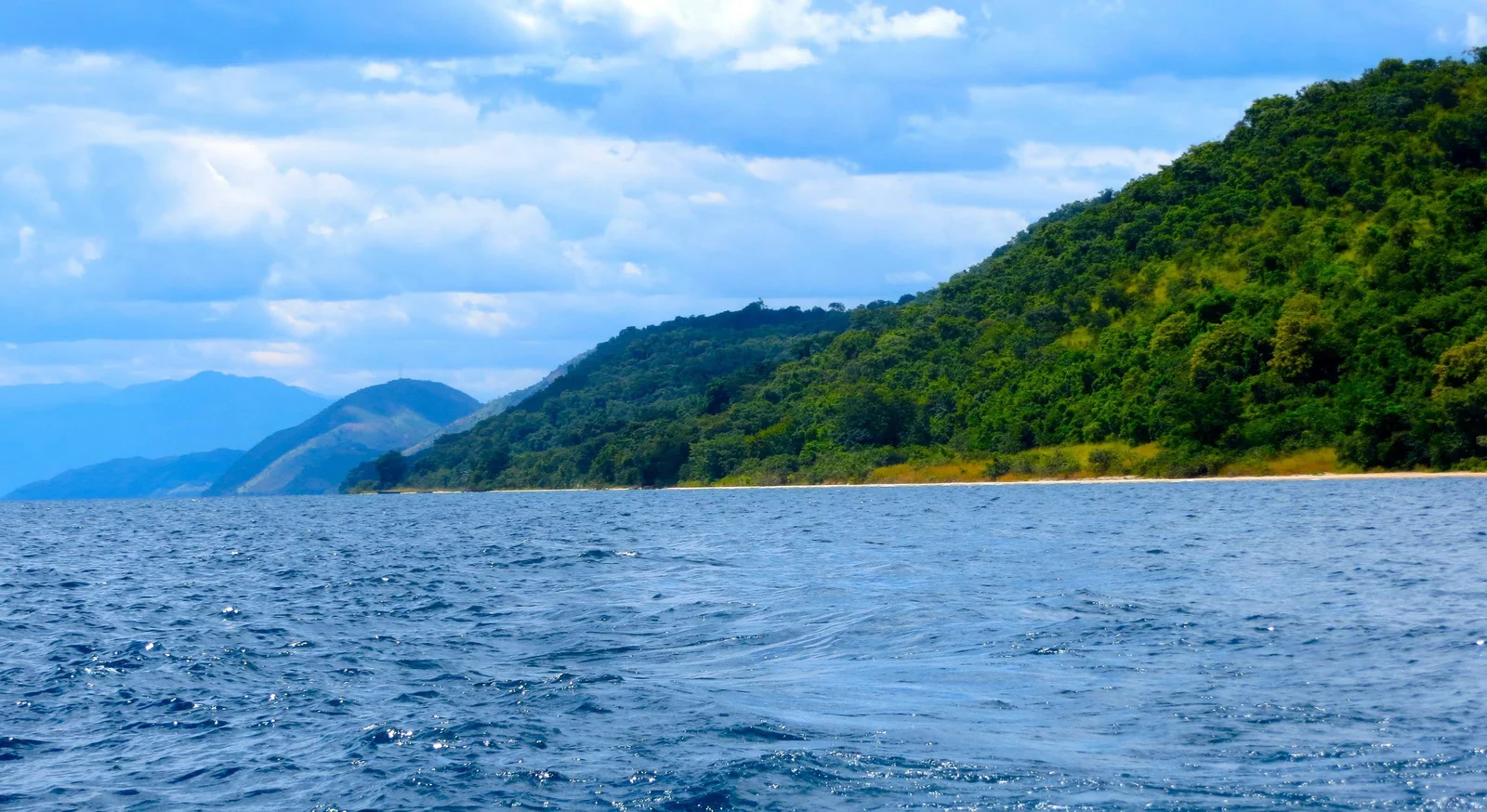 Vue panoramique depuis le sentier de Jane's Peak à Gombe Stream, sur le lac Tanganyika et les vallées boisées en contrebas