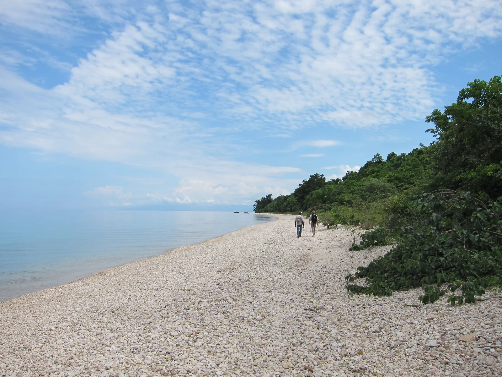 Visiteur s'enregistrant au siège du parc de Gombe Stream, avec le lac Tanganyika visible au-delà des bâtiments