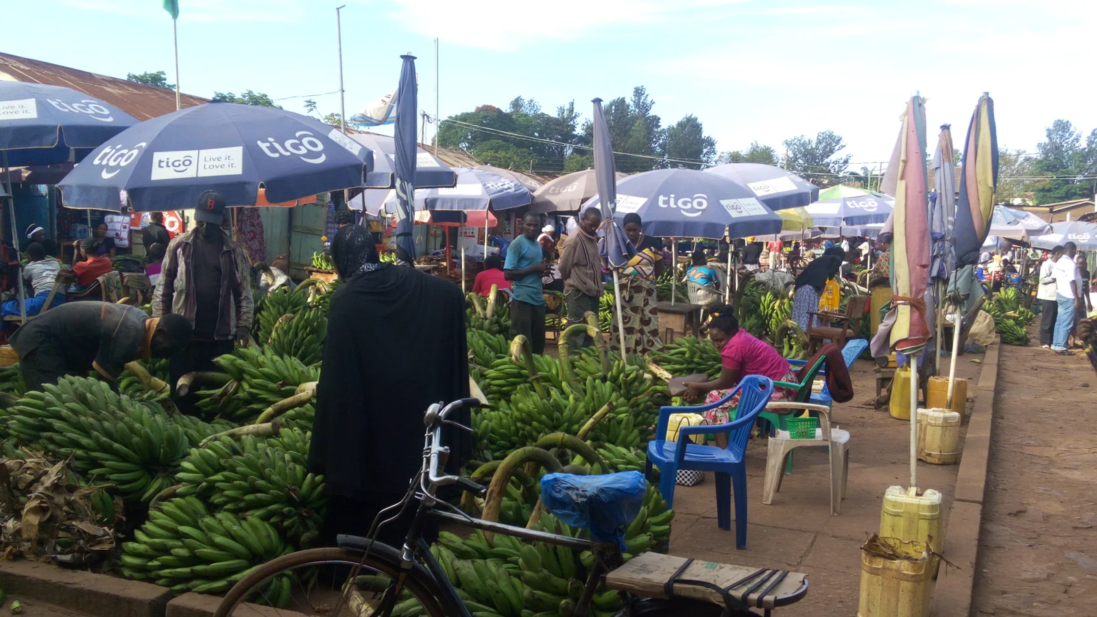 Étals du marché de Karatu débordant d'avocats, de bananes et de produits des hautes terres