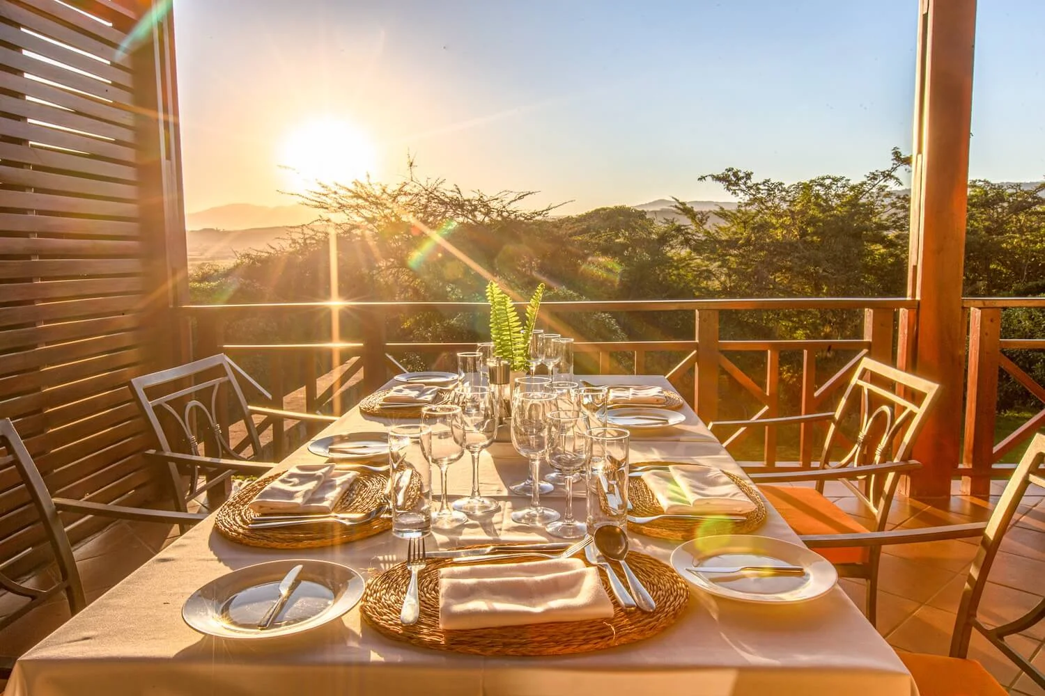 Dîner gastronomique raffiné dans un domaine caféier de luxe à Karatu, avec accords mets-vins