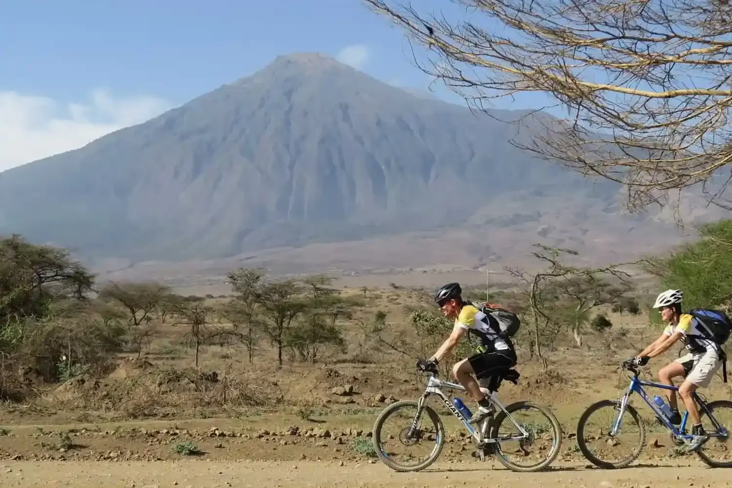 Vététiste roulant sur une piste en terre à travers les plantations de café de Karatu, avec les hautes terres du Ngorongoro en arrière-plan