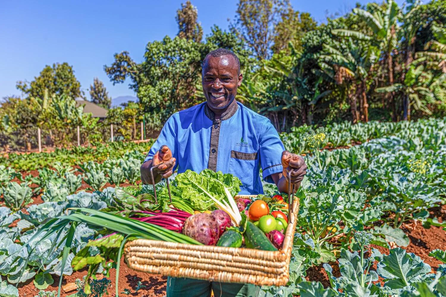 Légumes biologiques frais du jardin d'un lodge de Karatu, prêts pour la préparation en cuisine