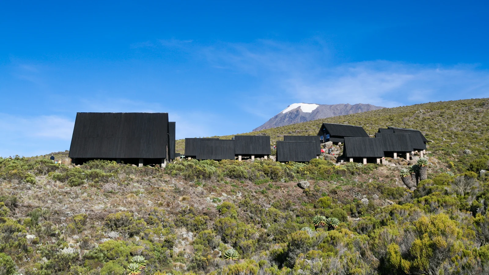 Le refuge de style dortoir de Horombo sur la route Marangu, avec des lits superposés et un espace commun