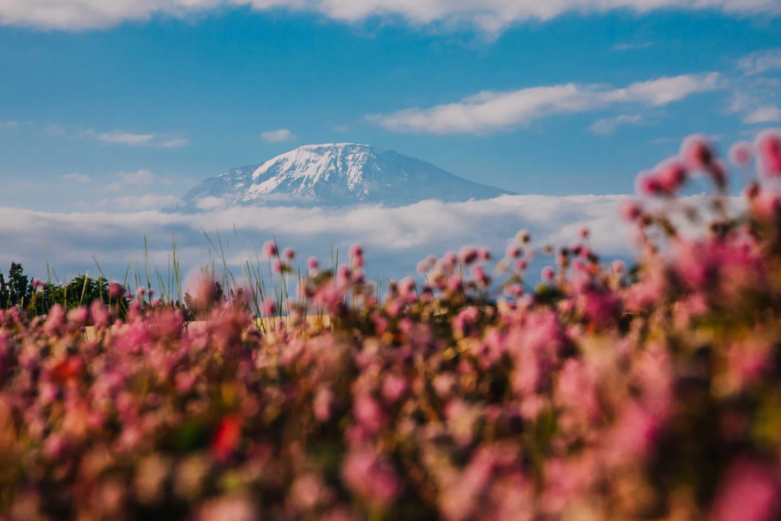 Neige fraîche sur les pentes supérieures du Kilimanjaro, avec des formations nuageuses se développant pendant les petites pluies