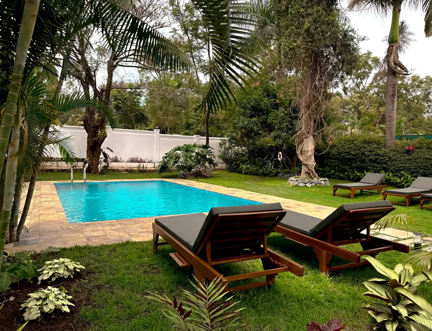 Piscine d'un hôtel de Moshi avec vue sur le Kilimanjaro — la récupération parfaite après le trek