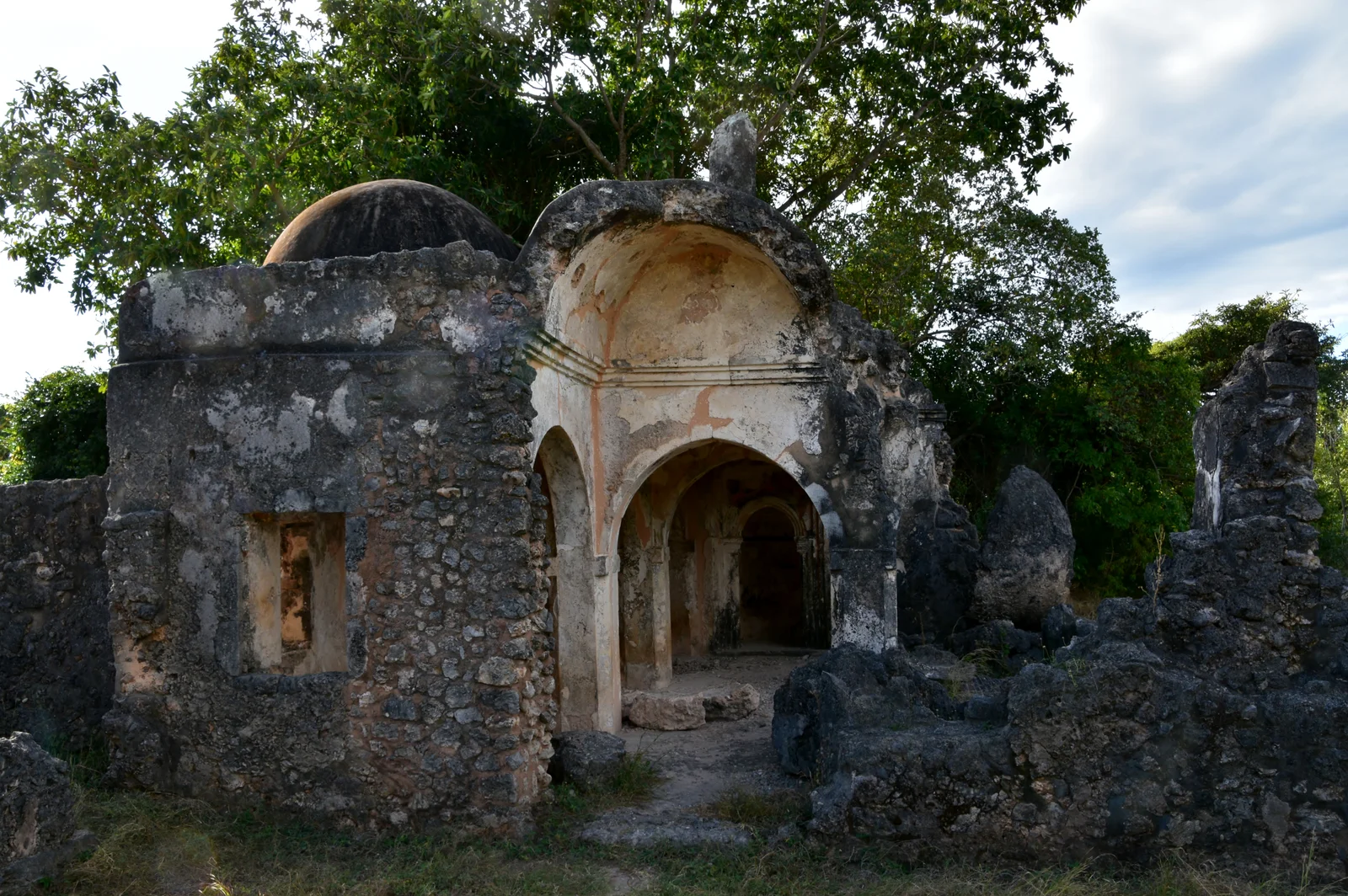 Antico baobab che cresce tra le rovine in pietra corallina sull'isola di Kilwa Kisiwani
