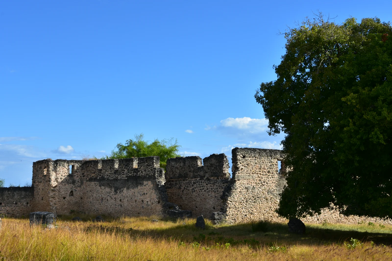 Rovine di Kilwa Kisiwani nella luce dorata della stagione secca con ombre nette sulla pietra corallina