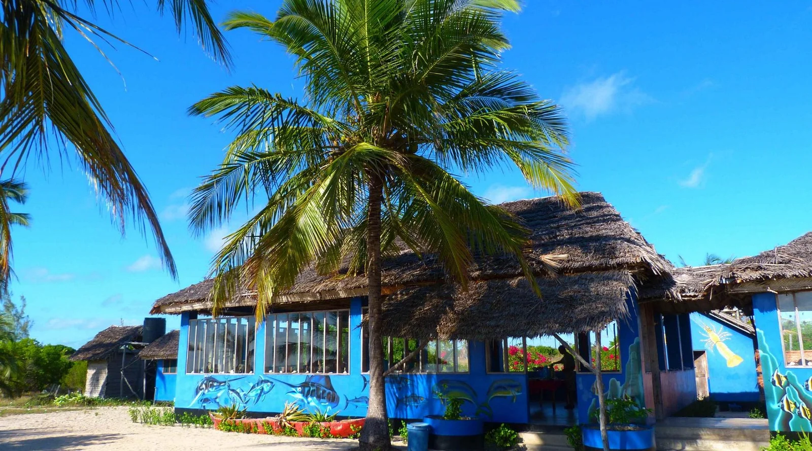 Camera di una guesthouse locale a Kilwa Masoko con ventilatore a soffitto e zanzariera