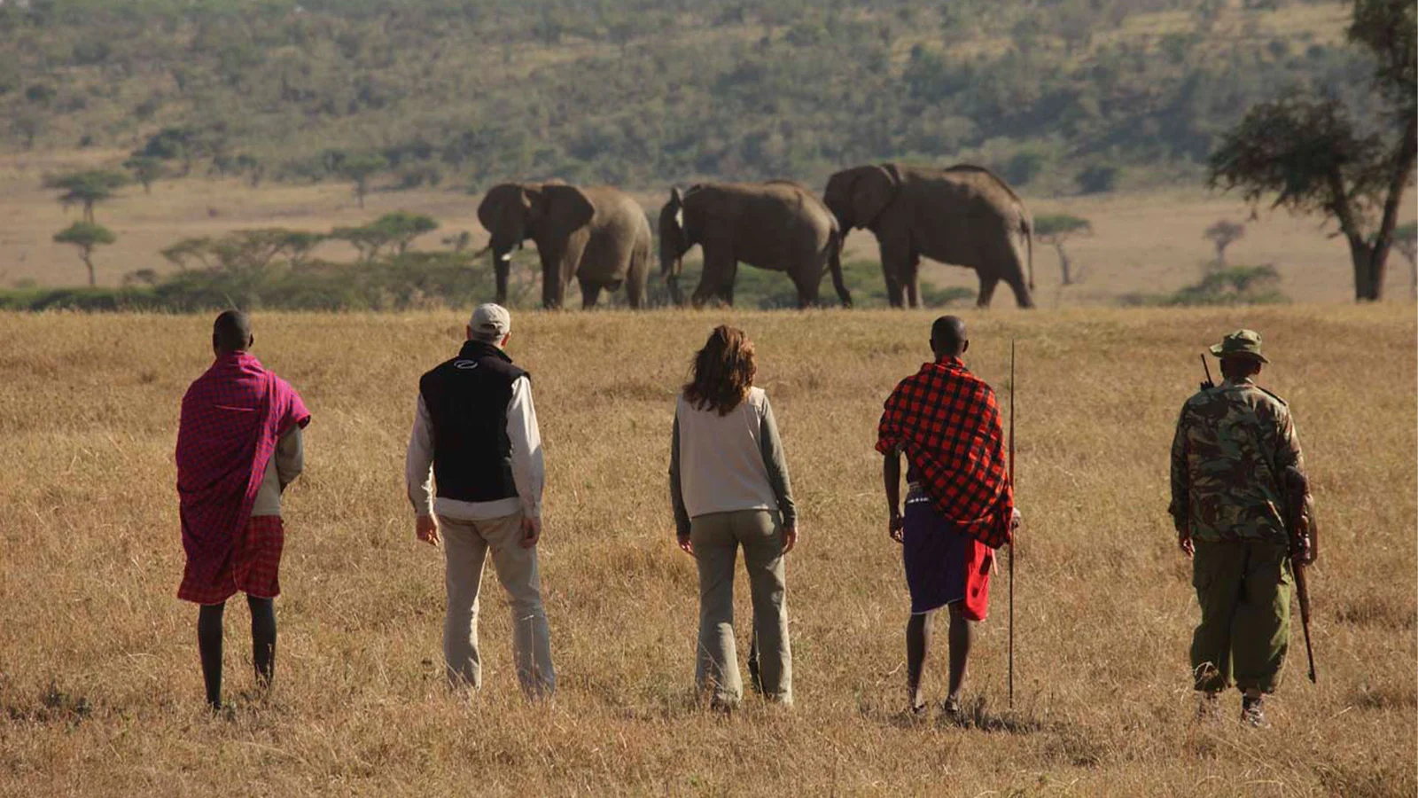 Guide maasaï menant les hôtes lors d'un safari à pied à travers le fourré d'acacias de la Lewa Wildlife Conservancy
