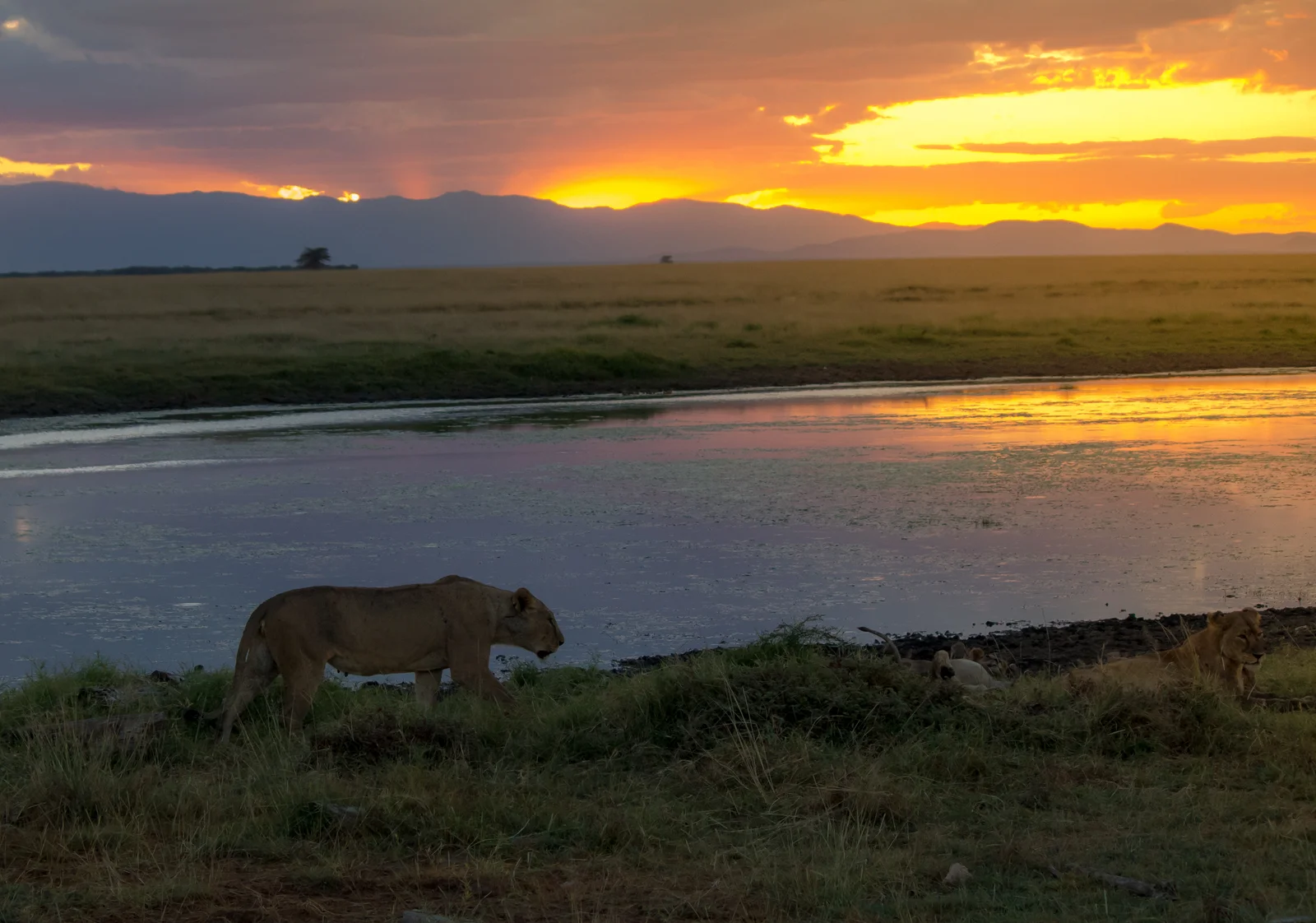 Die untergehende Sonne hinter dem Steilufer des Rift Valley wirft warmes Licht über die Salzpfannen des Lake Eyasi