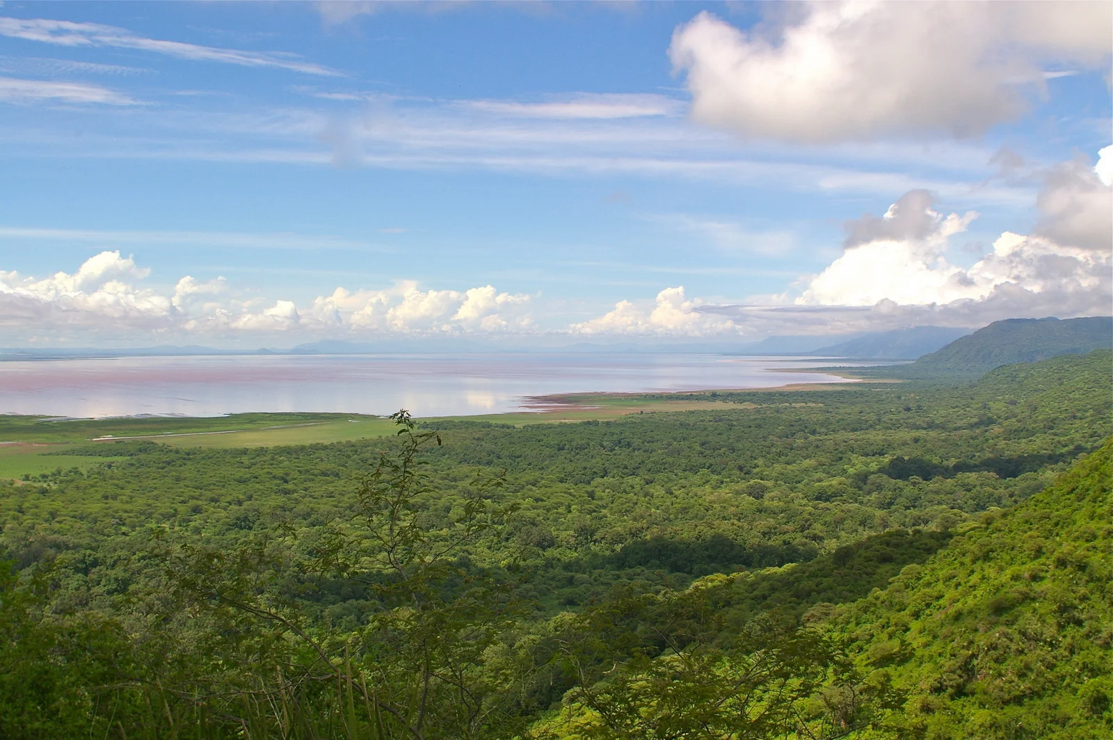 Panoramablick auf den Lake Manyara National Park von der Steilwand des Rift Valley mit dem Blätterdach des Grundwasserwaldes, dem alkalischen See und dem weiten, bis zum Horizont reichenden Rift Valley