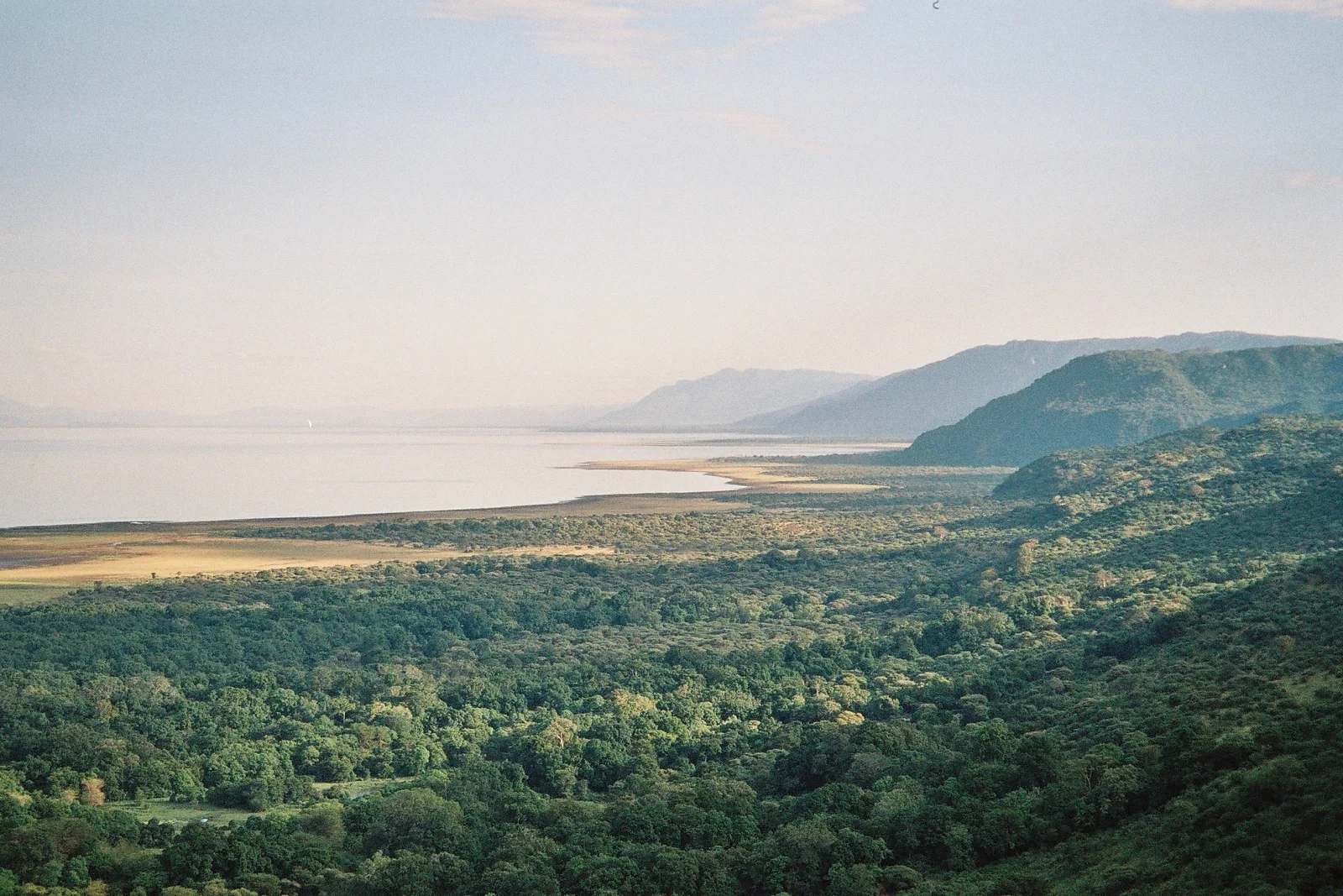 Baumkronenpfad durch den Grundwasserwald von Lake Manyara mit Besuchern auf Wipfelhöhe