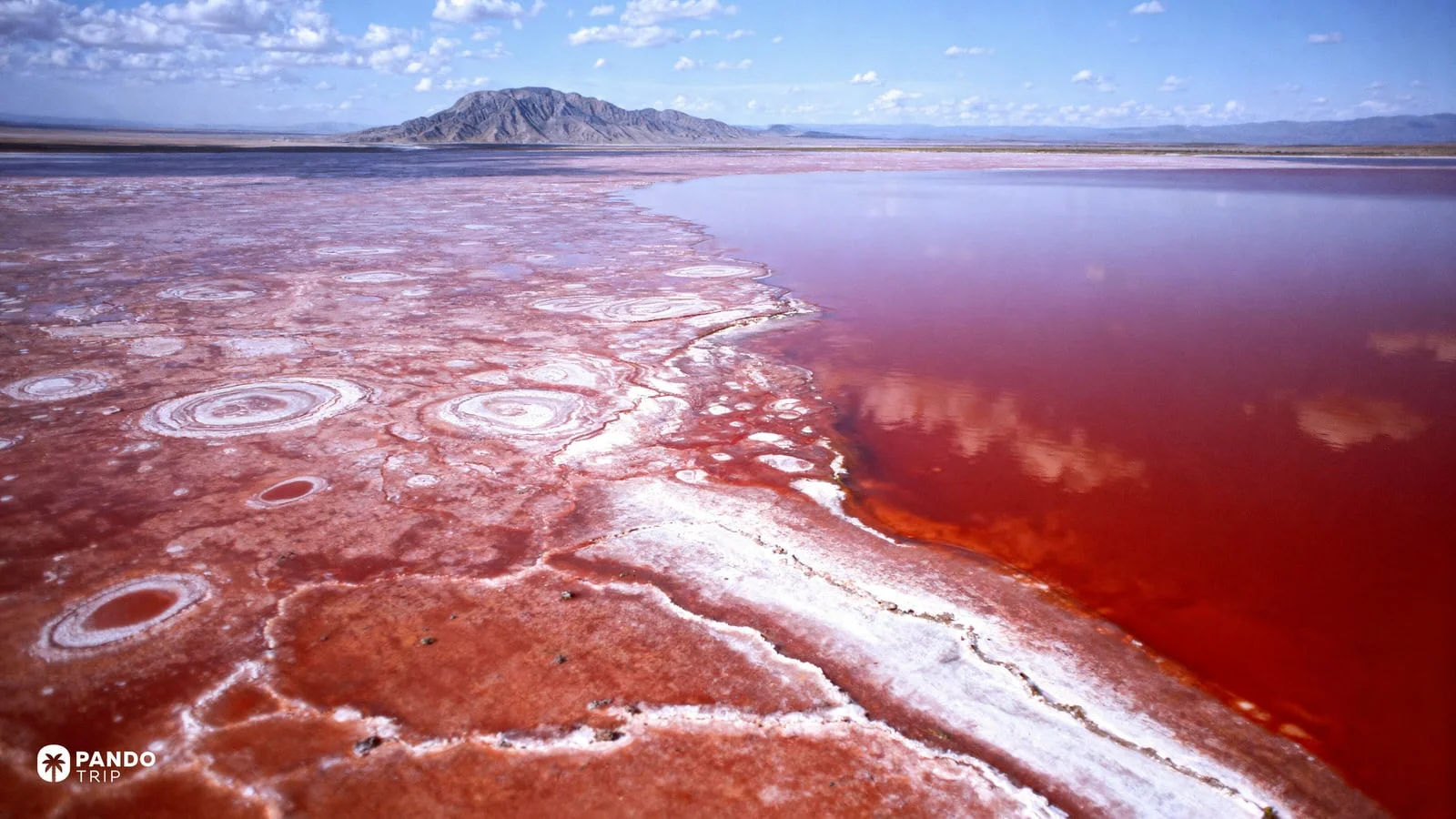 Vaste étendue de la surface rouge alcaline du lac Natron vue depuis l'escarpement de la vallée du Rift
