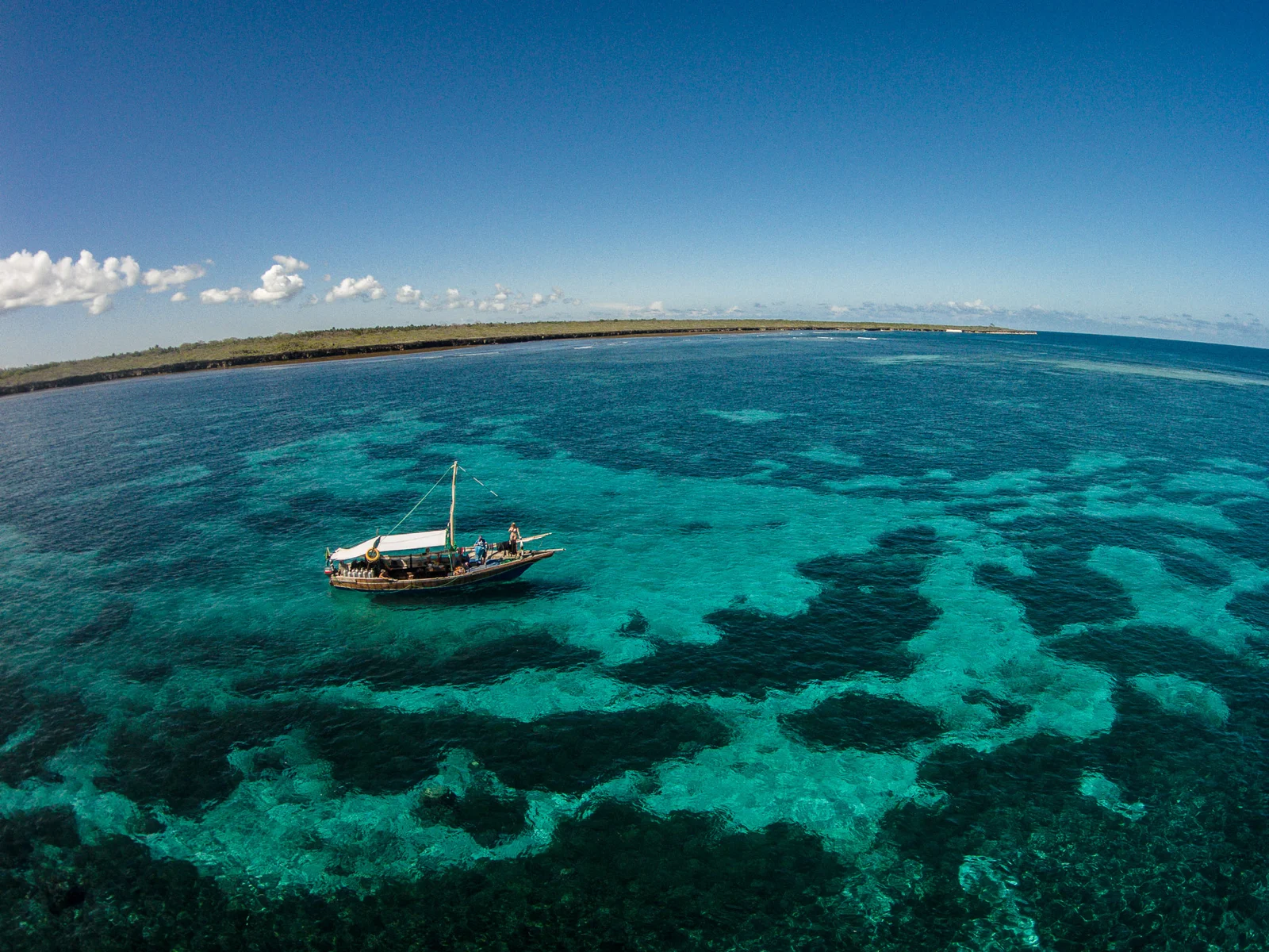 Taucher steigt an einer mit Korallen bewachsenen Wand im Mafia Island Marine Park ab, mit Schwärmen von Rifffischen im blauen Wasser dahinter