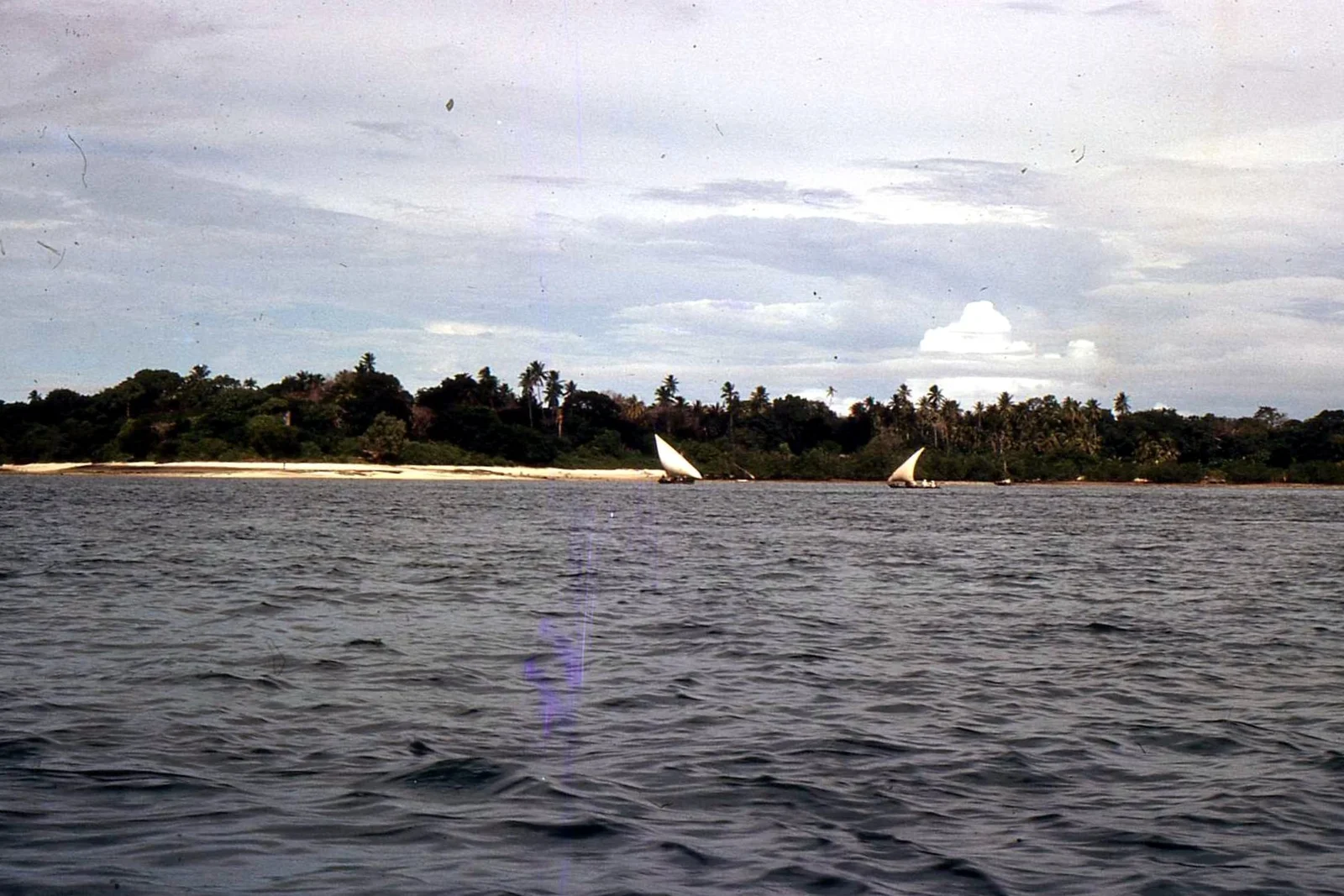 Traditionelles hölzernes Dhau segelt in der Chole Bay, gesäumt von Mafia Islands Kokospalmen am Ufer