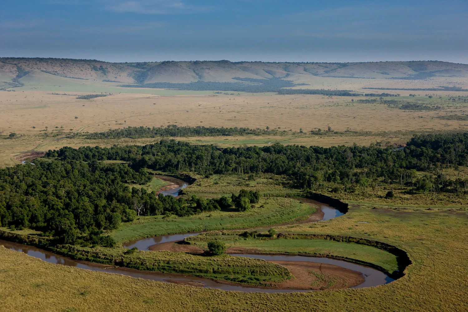 Vista aerea del Mara Triangle dall'altopiano di Oloololo con il fiume Mara che serpeggia tra le pianure dorate
