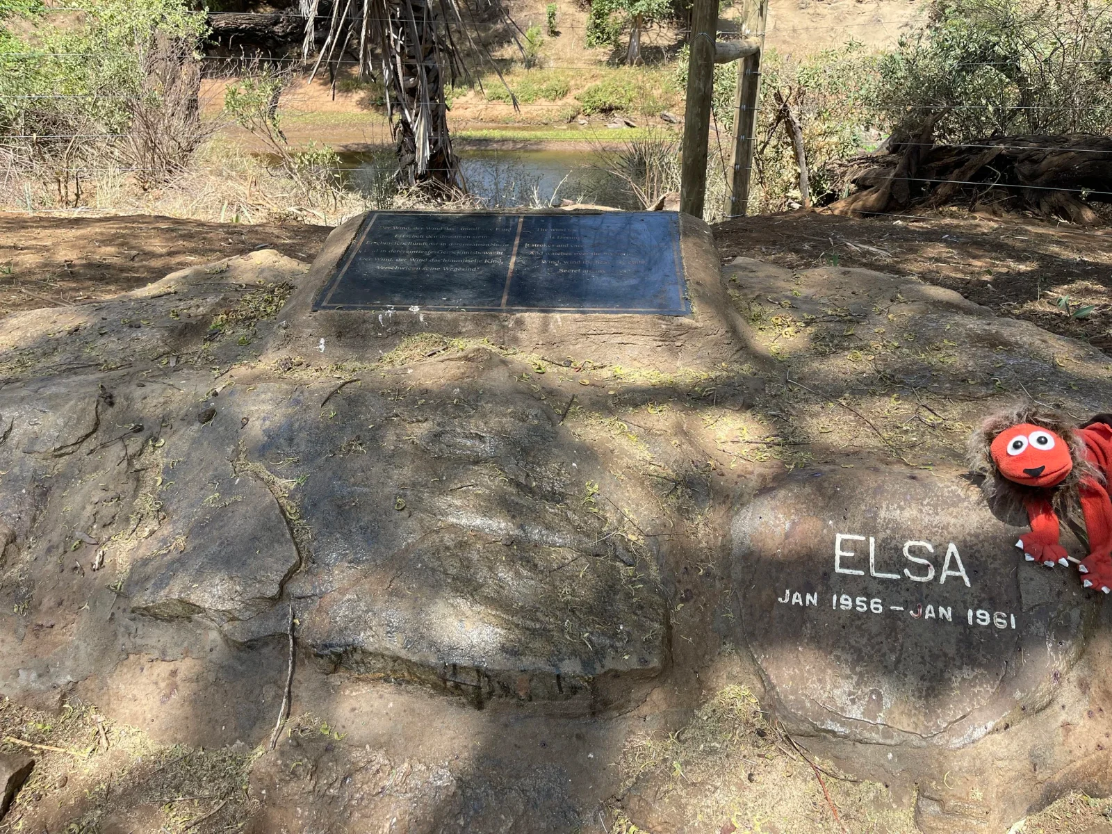 La plaque ombragée par un tamarinier sur la tombe d'Elsa, au bord de la rivière Ura — lieu de pèlerinage pour les lecteurs de Born Free