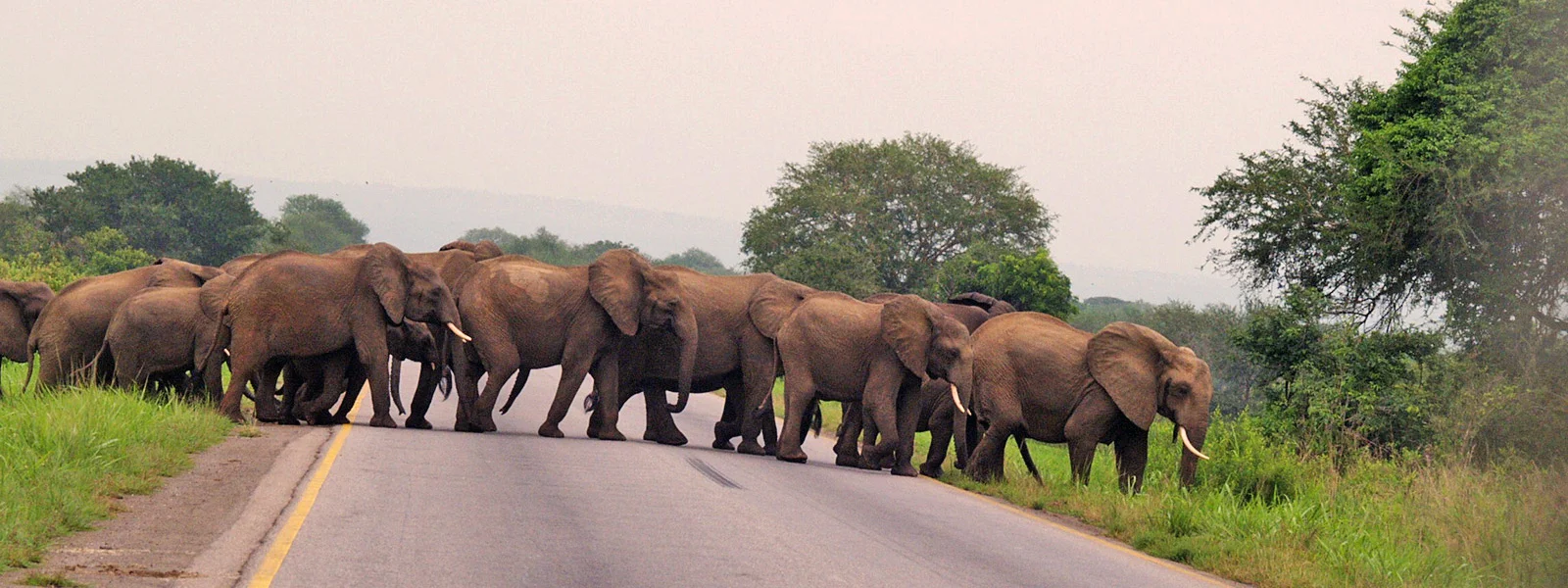 Die asphaltierte A7-Fernstraße nähert sich Mikumi, im Hintergrund die Ausläufer der Uluguru-Berge