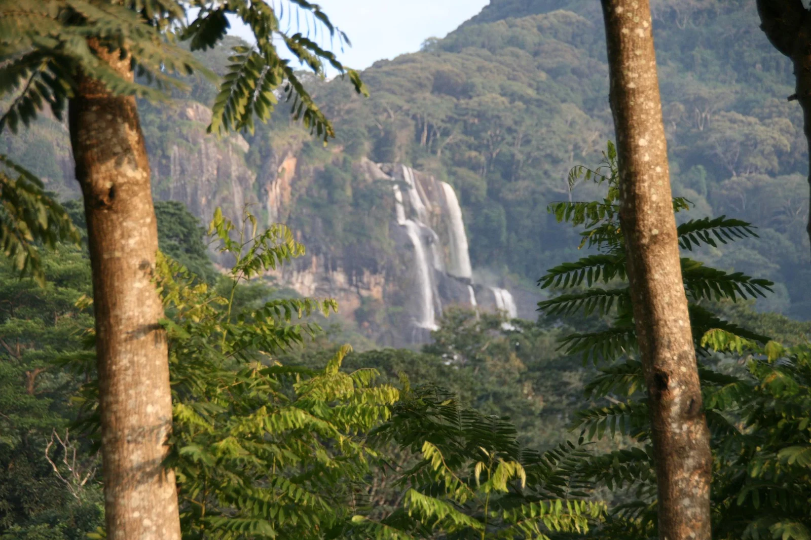 Der 180-Meter-Sanje-Wasserfall stürzt durch dichten Regenwald in den Udzungwa Mountains