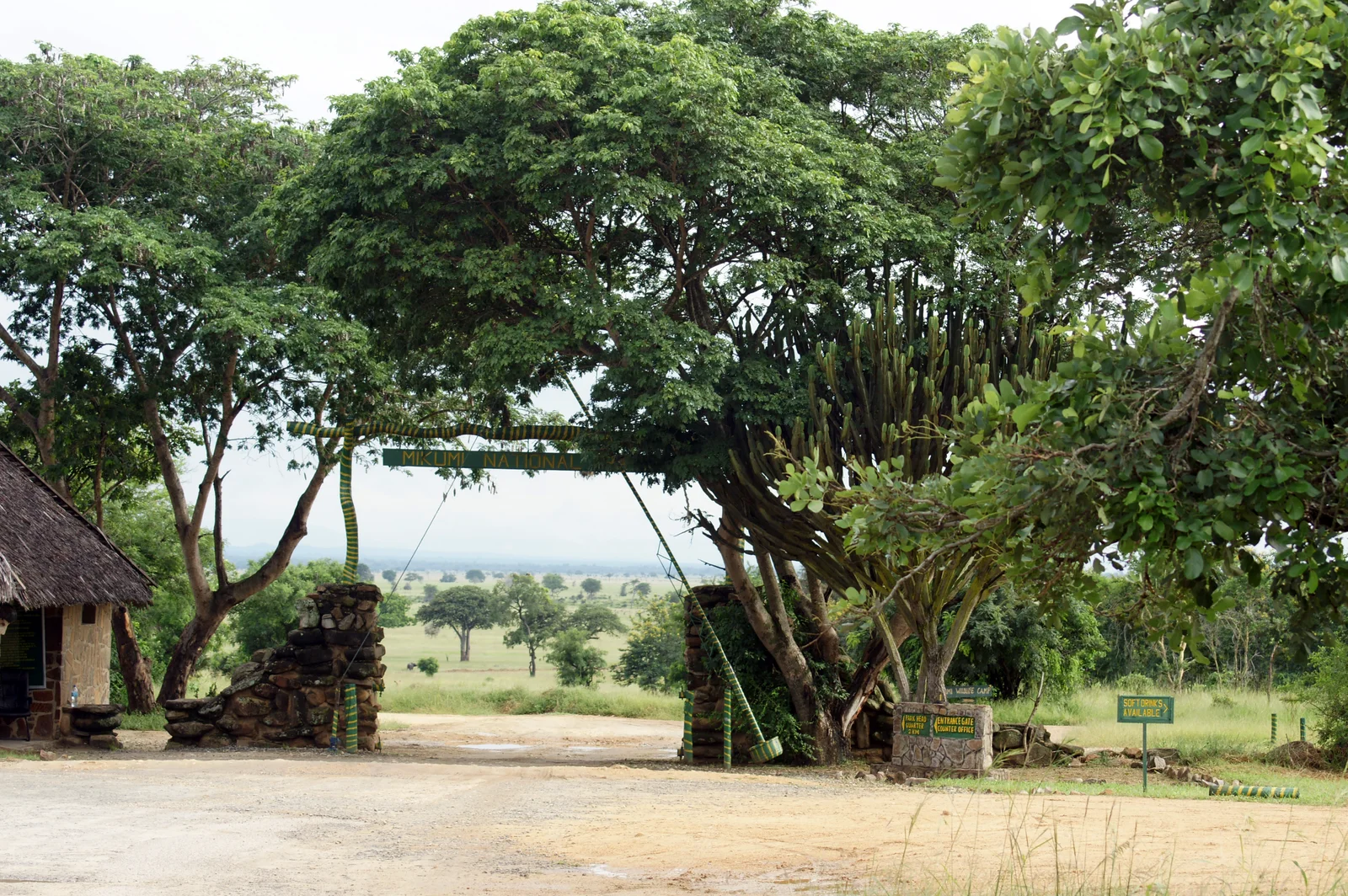 Eingangstor des Mikumi-Nationalparks an der A7-Fernstraße, im Hintergrund eine Giraffe auf der Straße