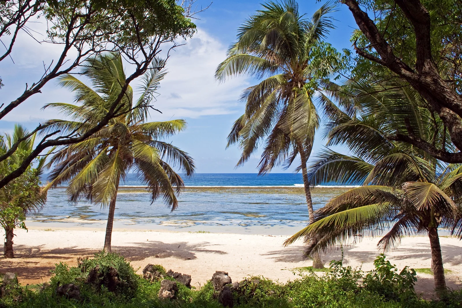 Vista aerea di Bamburi Beach che mostra un'ampia mezzaluna di sabbia bordata da hotel resort con la barriera corallina visibile al largo durante la bassa marea