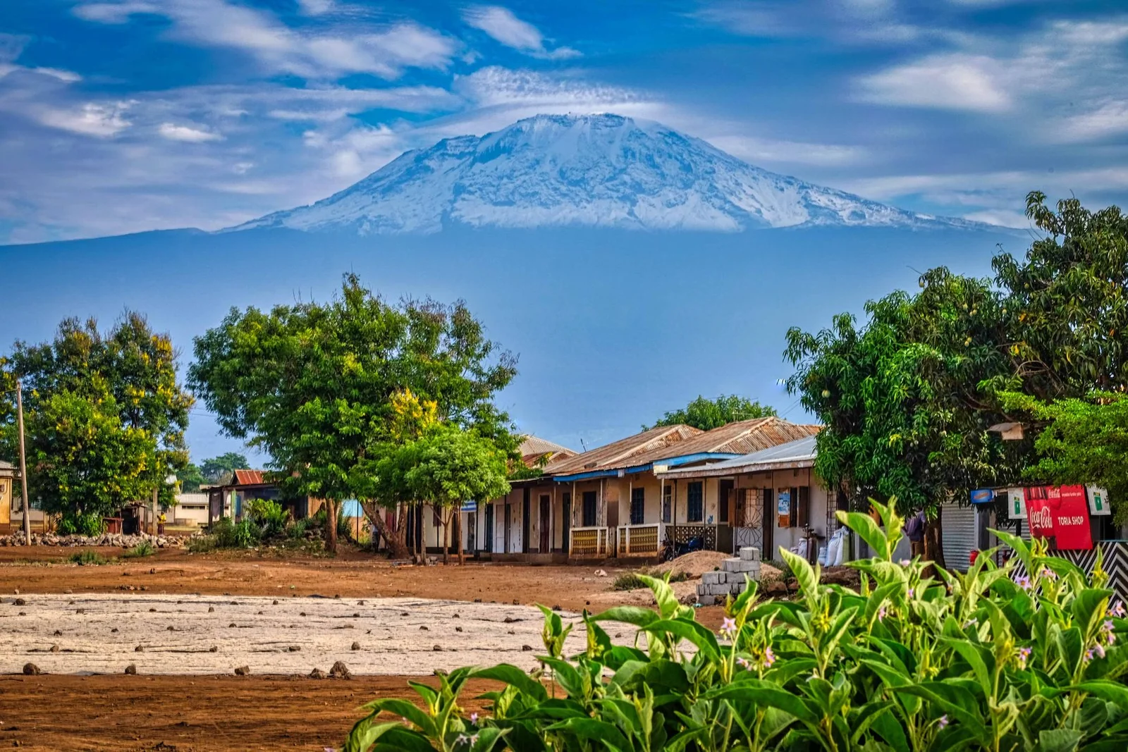 Der vollständige Kibo-Gipfel des Kilimanjaro, an einem klaren Julimorgen von einer Kaffeefarm oberhalb von Moshi aus sichtbar