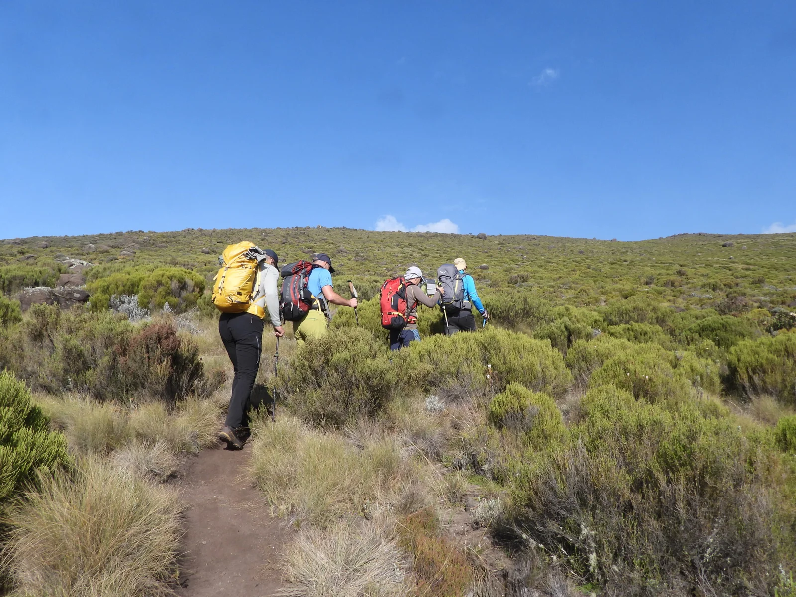 Trekker überqueren das Heidemoor der Chogoria-Route, unterhalb liegen die Tarns des Lake Michaelson