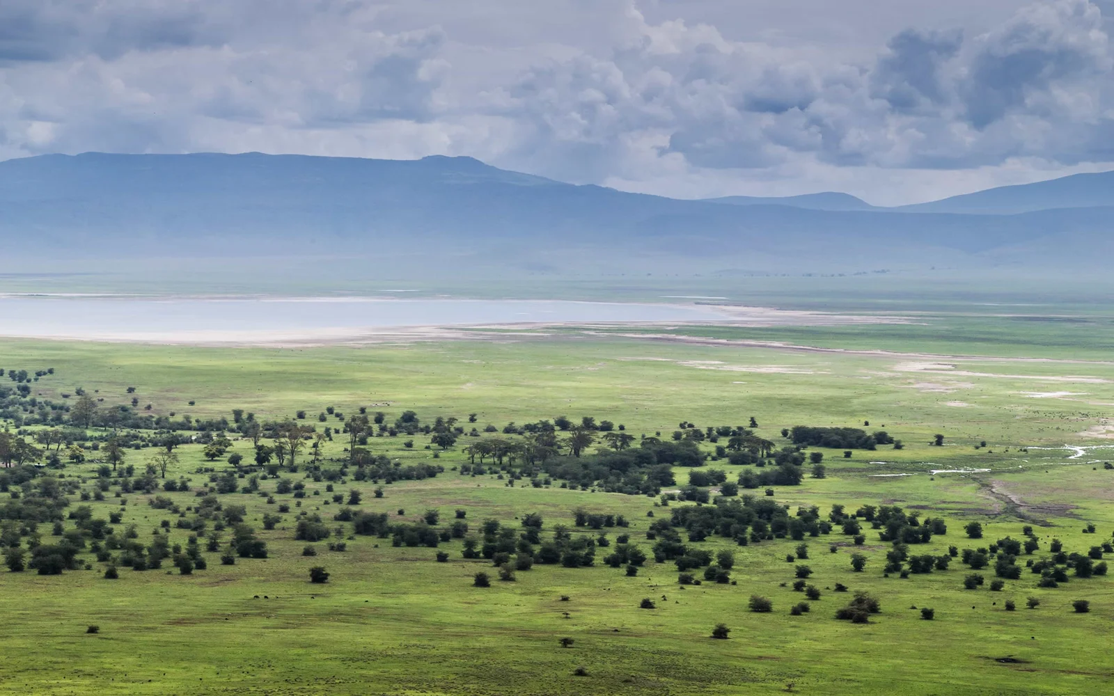 Vista panorámica del cráter del Ngorongoro desde el borde oriental al amanecer, con la neblina matutina llenando la caldera y el lago Magadi brillando en el centro