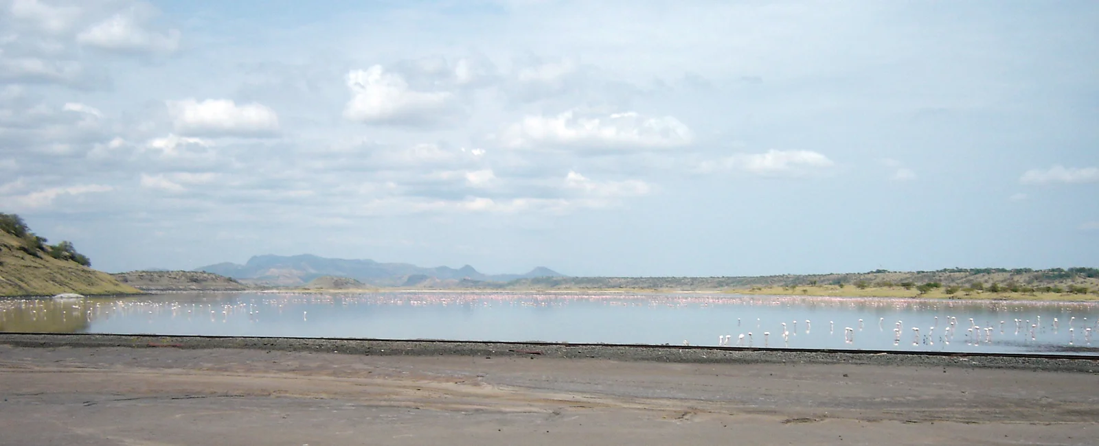 Flamencos formando una bruma rosada sobre las aguas alcalinas del lago Magadi en el centro del cráter del Ngorongoro