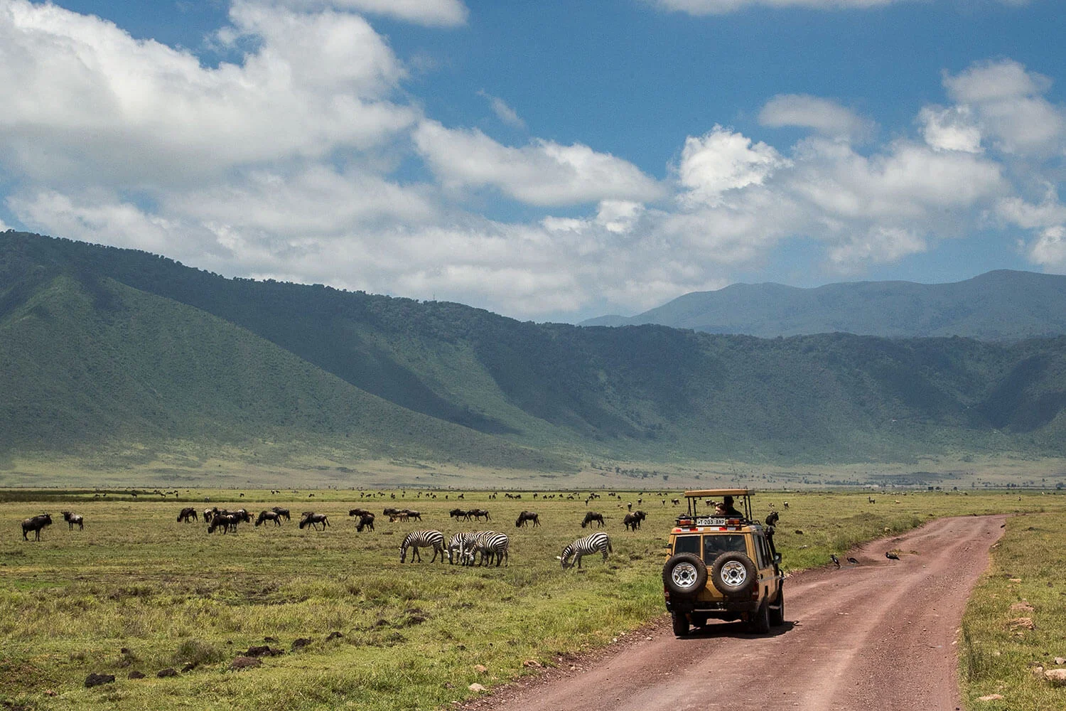 Vehículo de safari en el fondo del cráter del Ngorongoro con una manada de leones en primer plano y las paredes de la caldera alzándose de forma espectacular al fondo