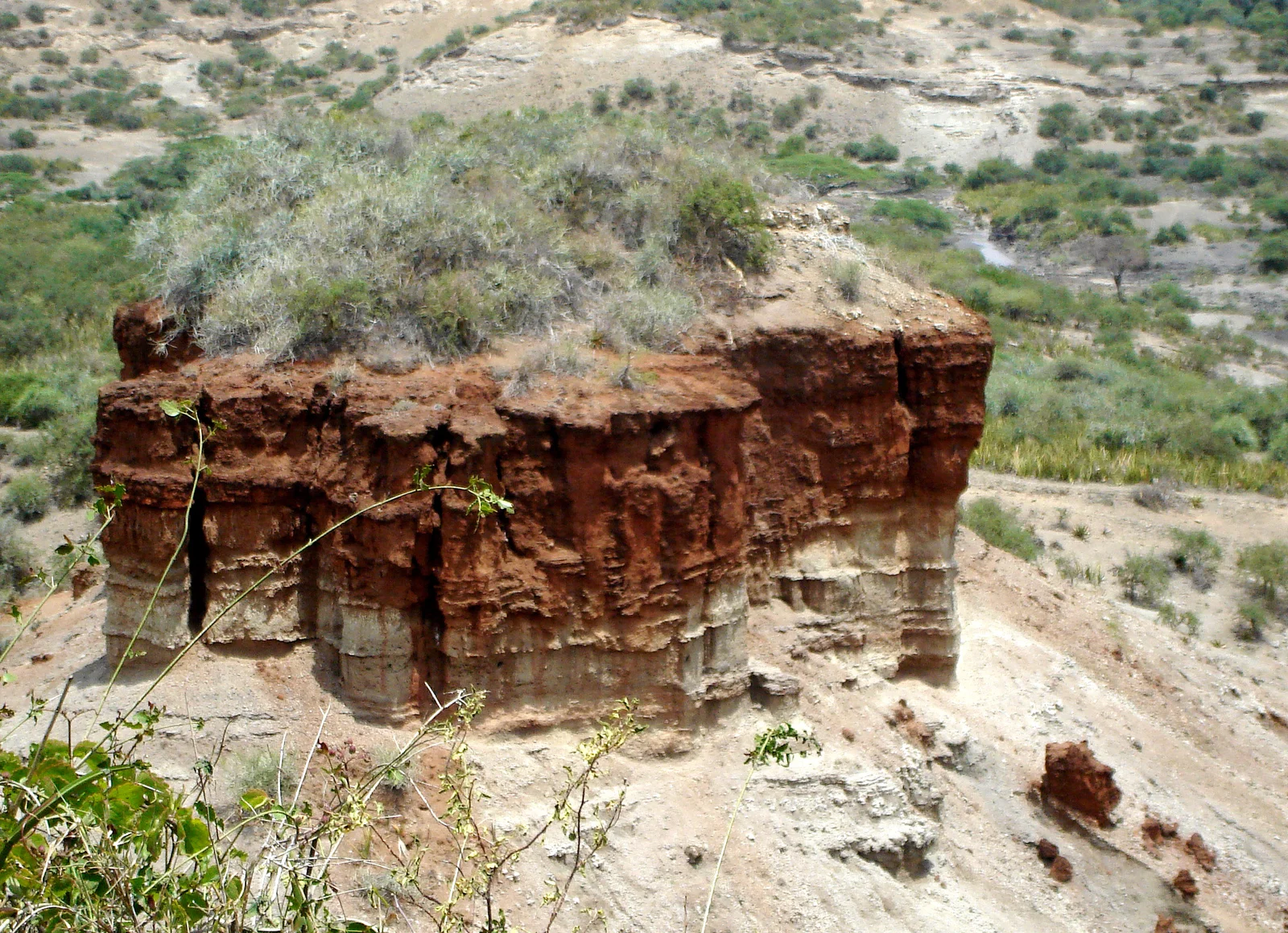 Paredes escarpadas de la Garganta de Olduvai que dejan al descubierto dos millones de años de capas geológicas