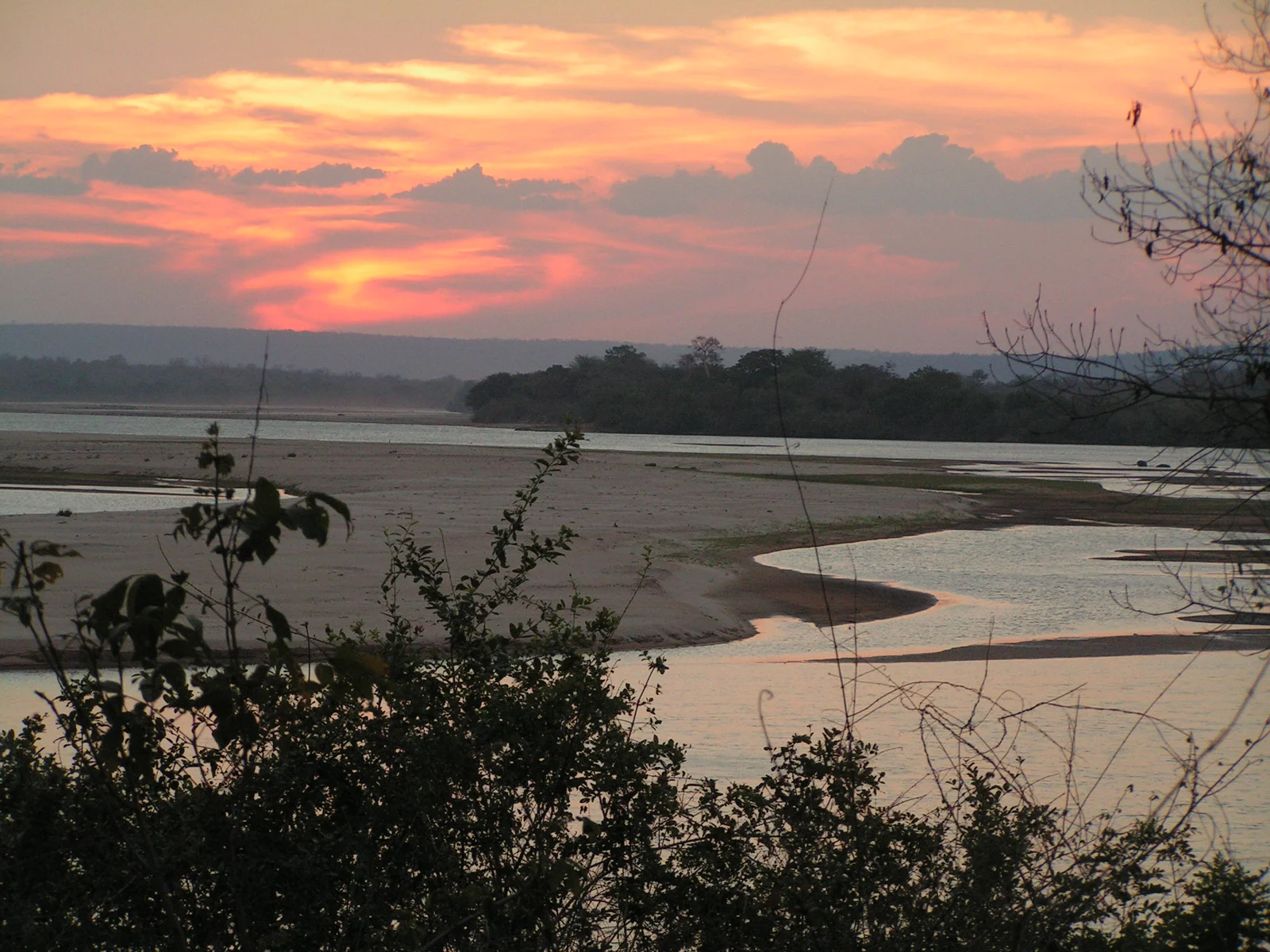 Il fiume Rufiji in piena portata a giugno con rive verdi e vegetazione lussureggiante