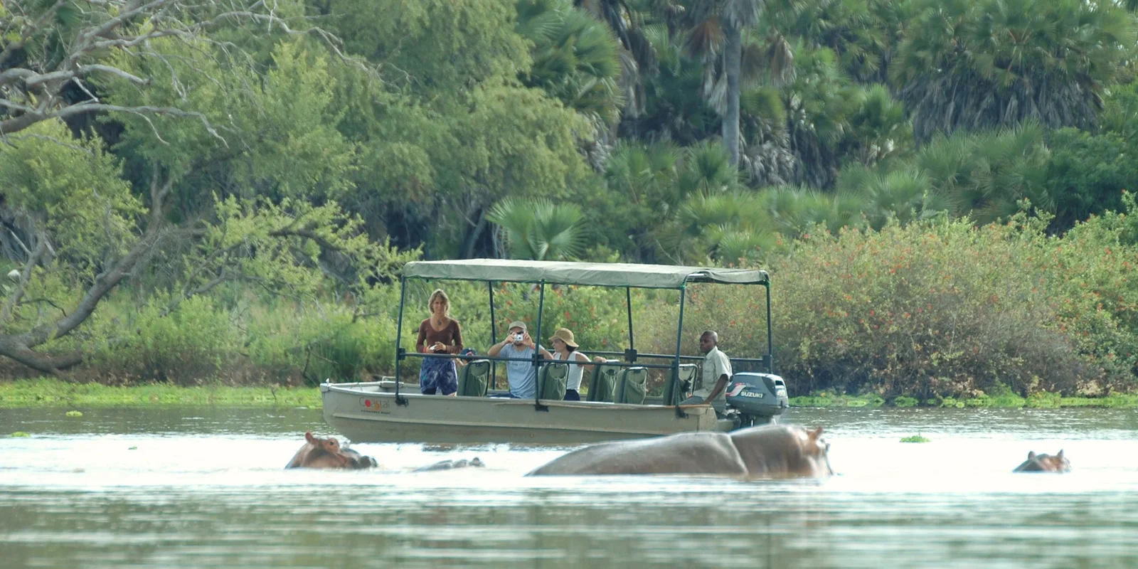 Un safari in barca che scivola oltre un banco di sabbia coperto di coccodrilli che si crogiolano sul fiume Rufiji durante l'ora dorata
