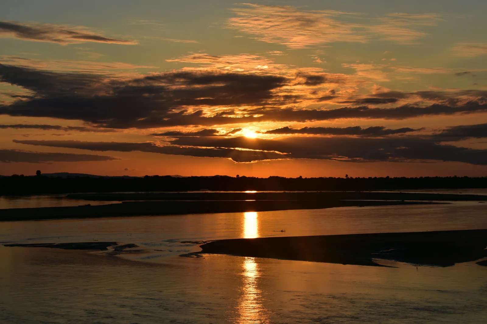 Mandria di elefanti stagliata contro un tramonto ramato sulla pianura alluvionale del fiume Rufiji