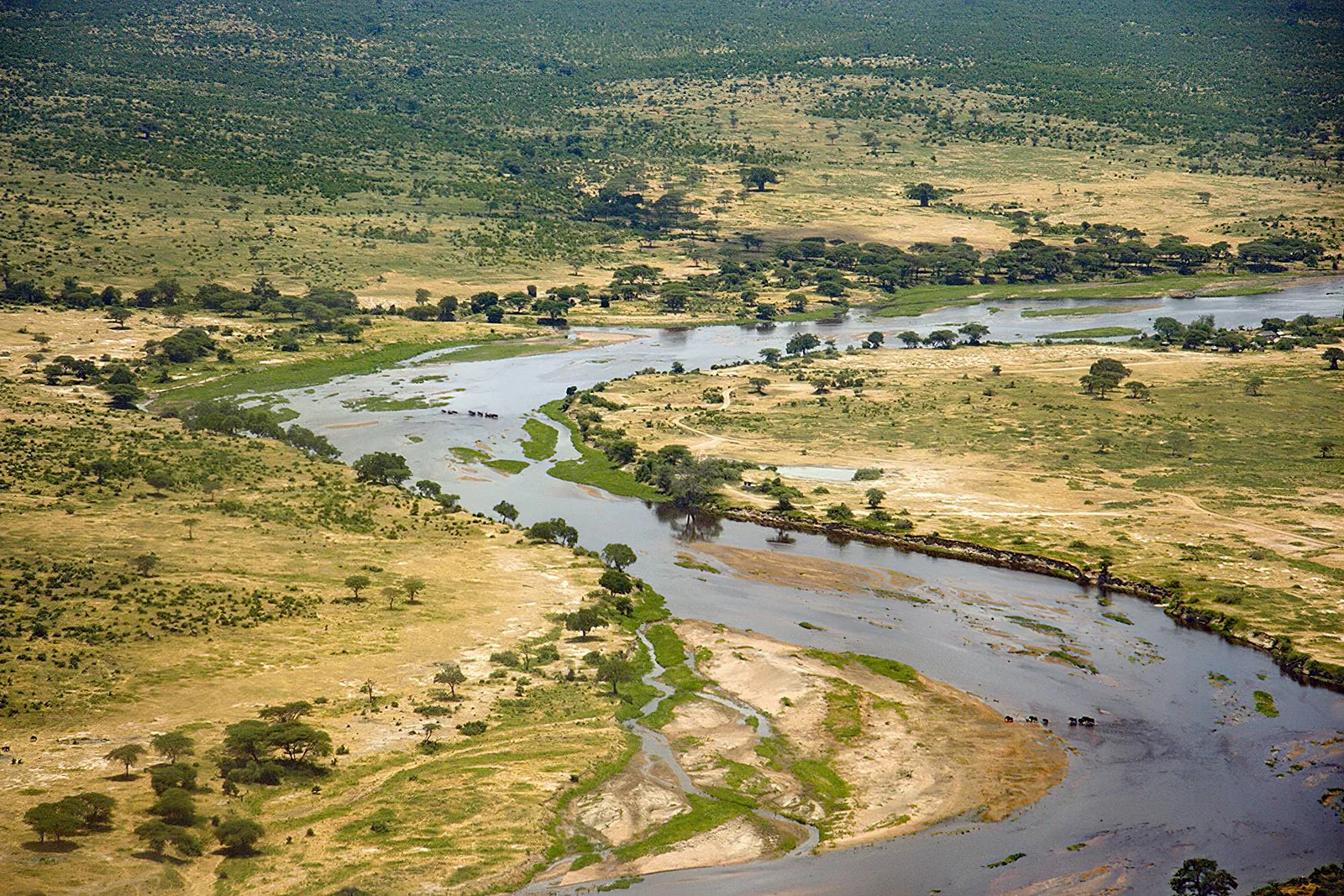 Panoramablick auf den Great Ruaha River, der sich zur goldenen Stunde durch eine mit Baobabs übersäte Wildnis schlängelt