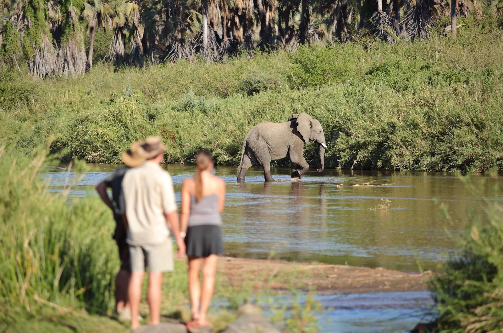 Eine geführte Walking-Safari-Gruppe durchquert den trockenen Mwagusi Sand River, in der Ferne ragen Baobabs auf