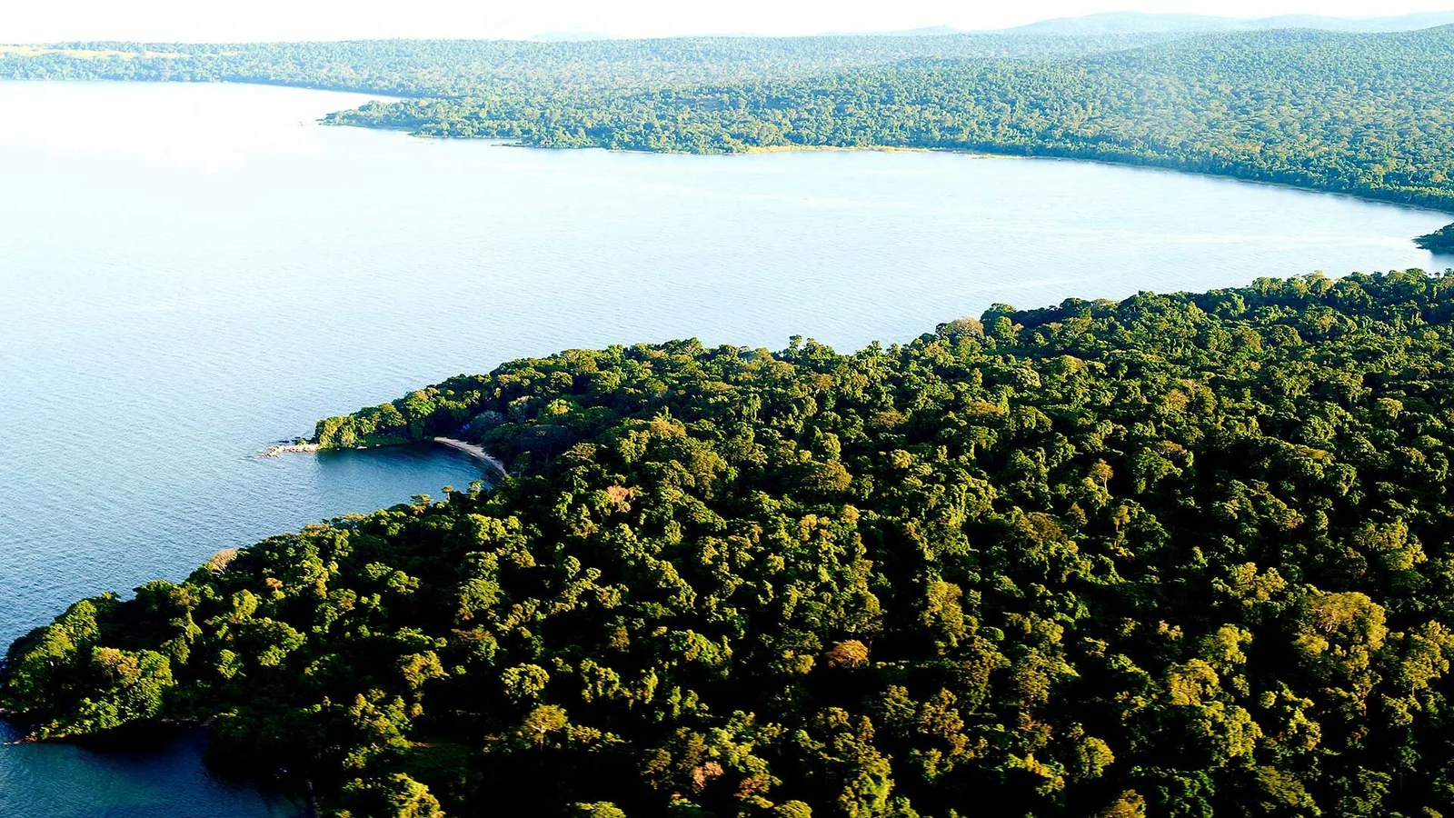 Rubondo Island erhebt sich aus dem Lake Victoria, dichter tropischer Wald trifft auf sandige Ufer