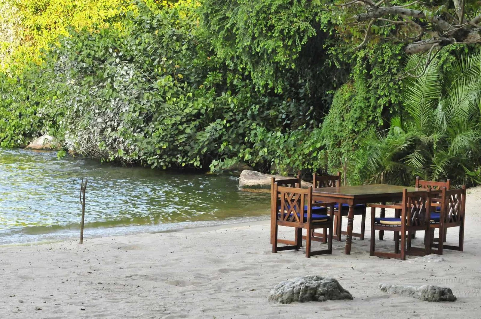 Papyrus-gesäumtes Ufer von Rubondo Island im Morgengrauen