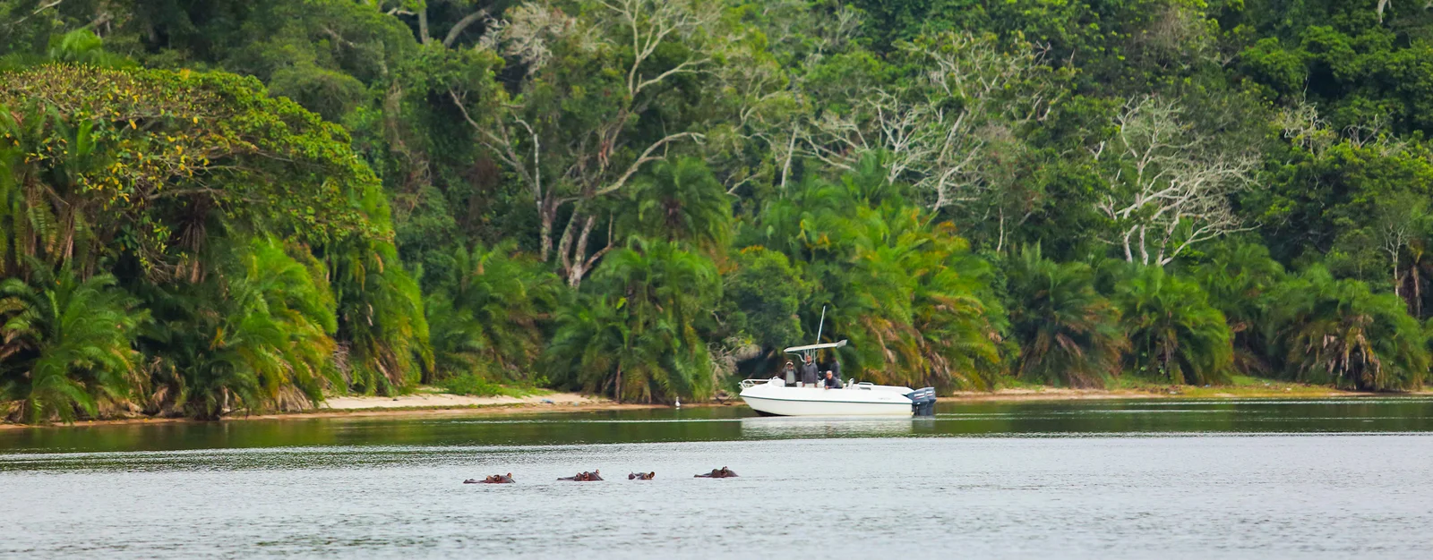 Motorboot nähert sich Rubondo Island über die ruhigen Gewässer des Lake Victoria