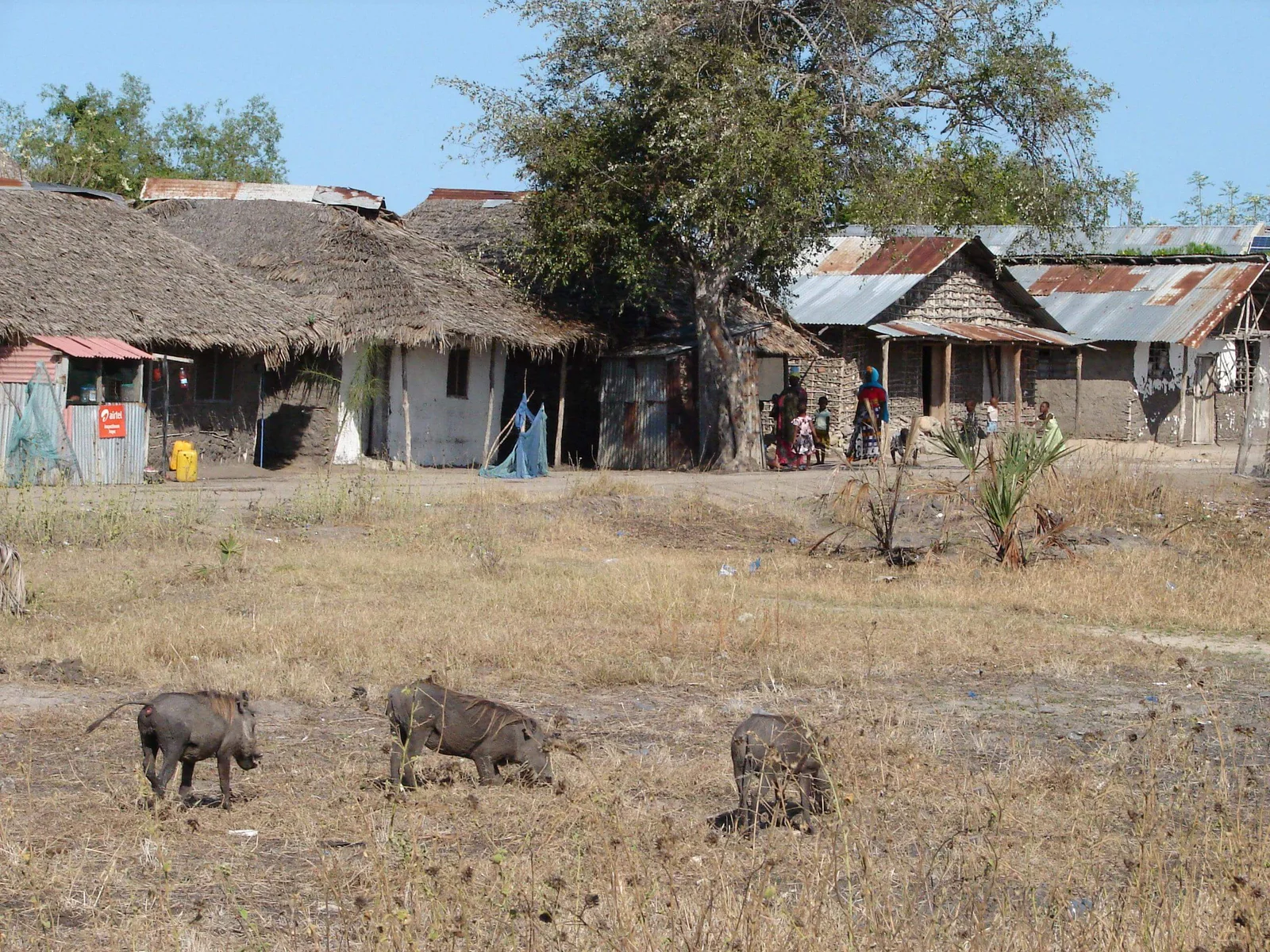 Réunion de conservation communautaire près des villages limitrophes de Saadani
