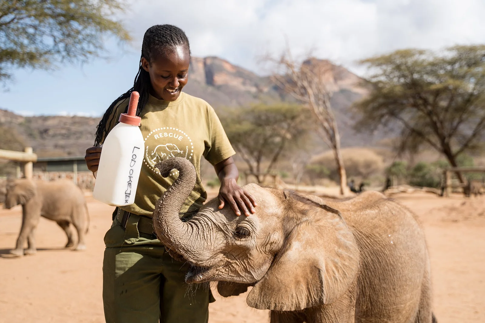Samburu-Pflegerinnen füttern verwaiste Elefantenkälber mit der Flasche im Reteti Elephant Sanctuary