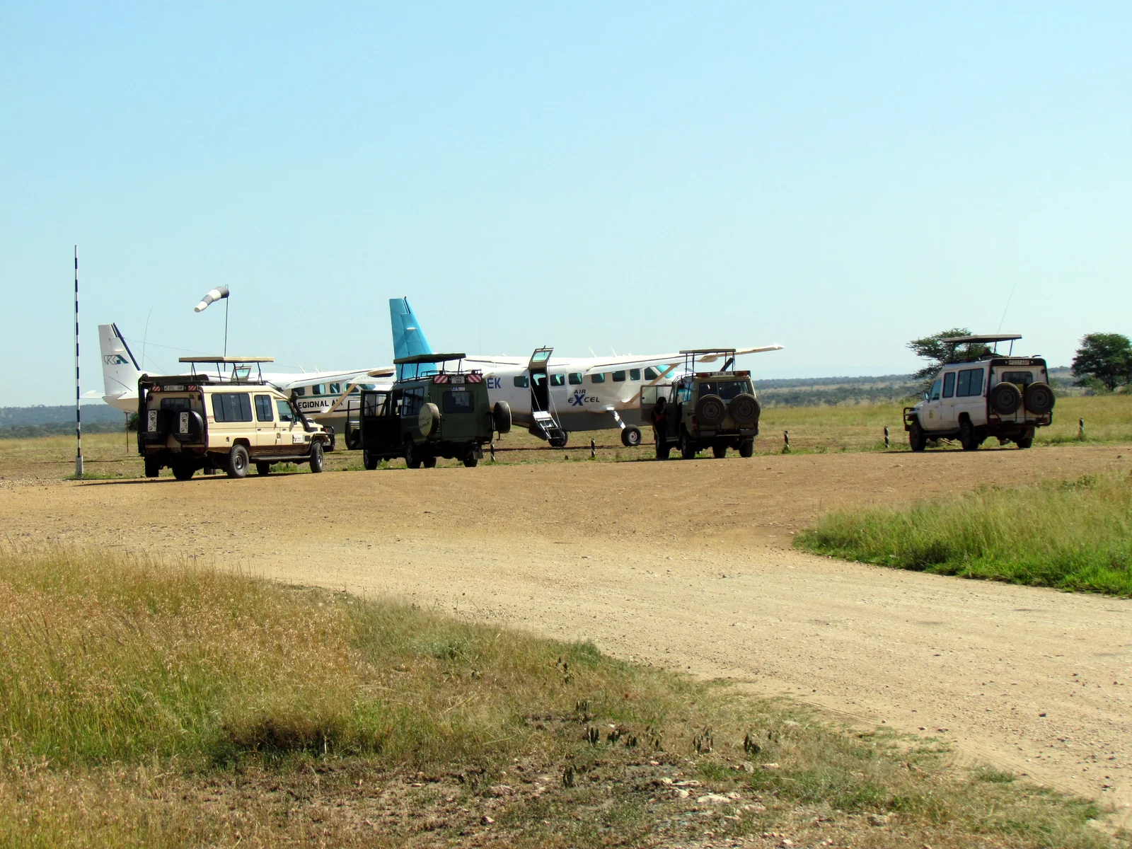 Buschflugzeug landet auf einer Grasbahn in der Serengeti mit Tieren im Hintergrund